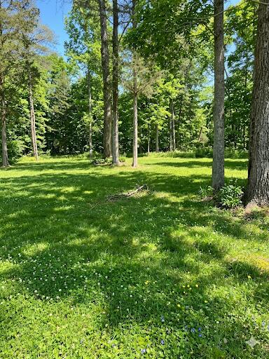 111 Natures Way Property Photo 23
