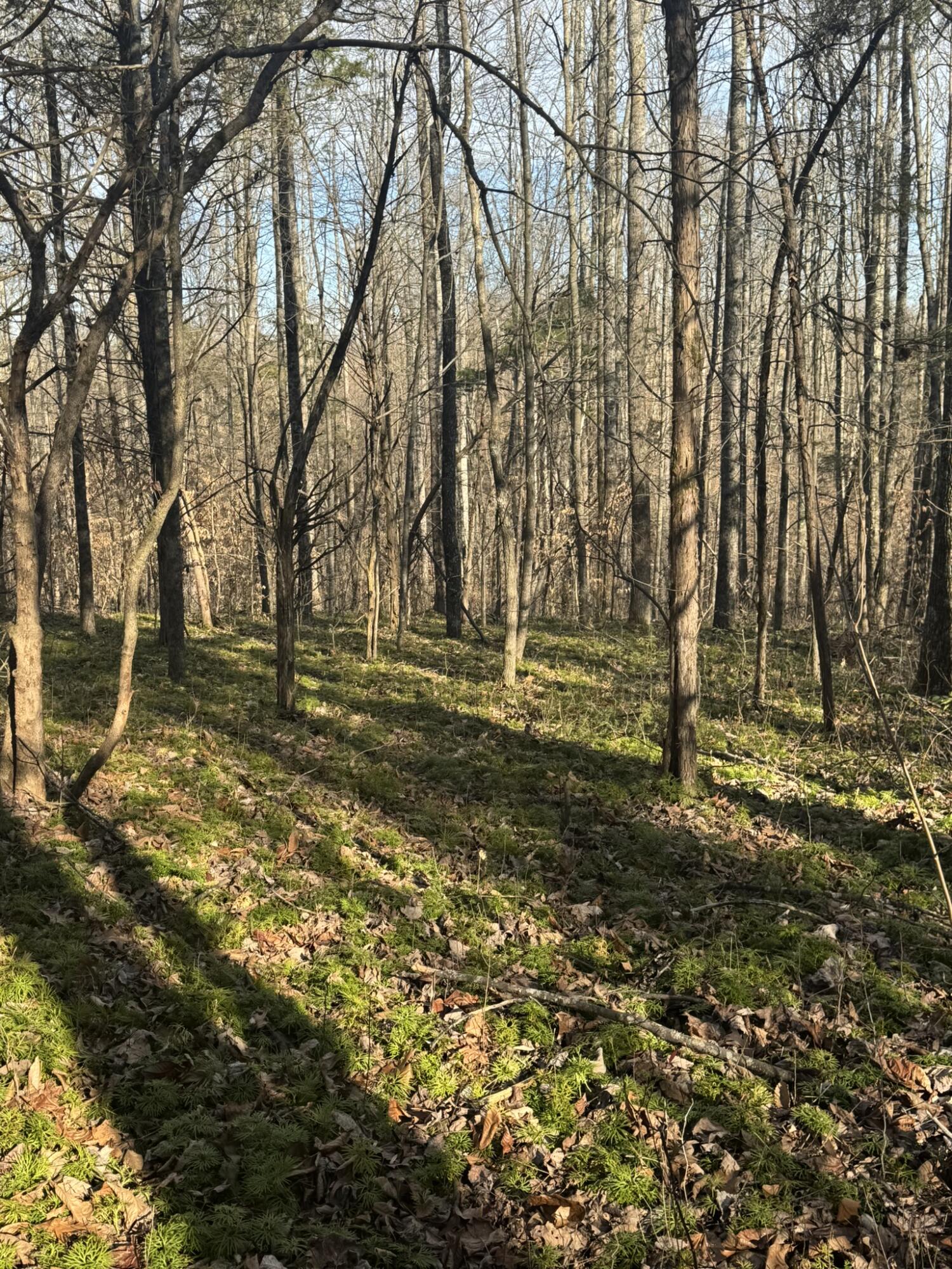 1064 Frontage Road Property Photo 3