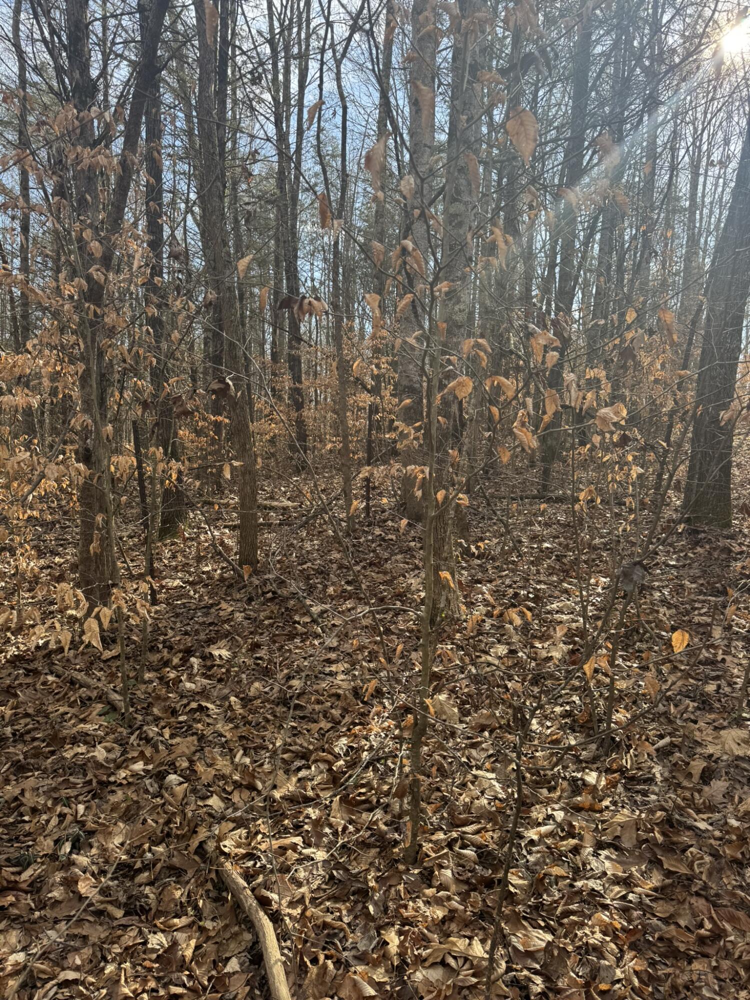 1064 Frontage Road Property Photo 10