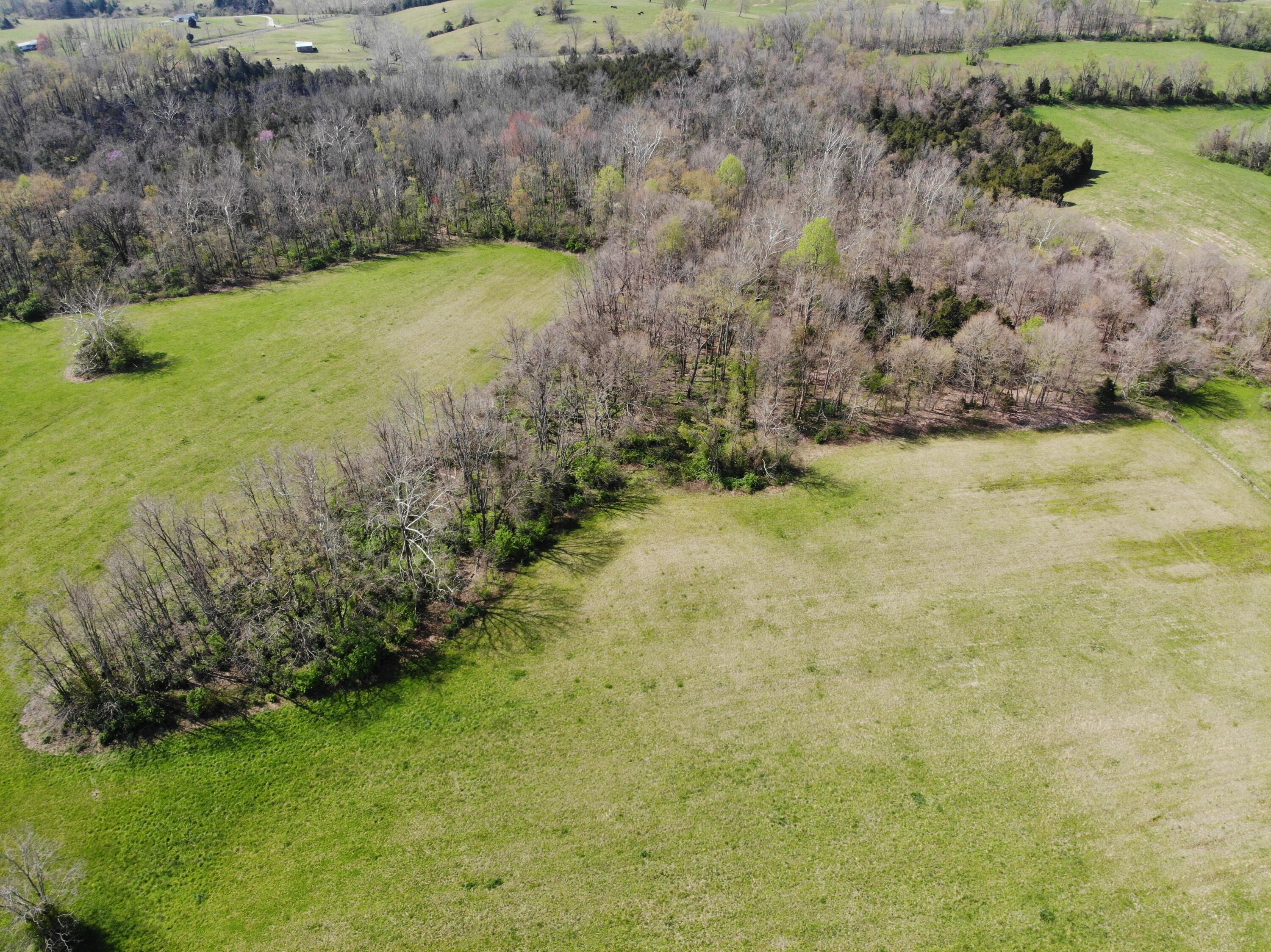 1350 Perry Pike Property Photo 4
