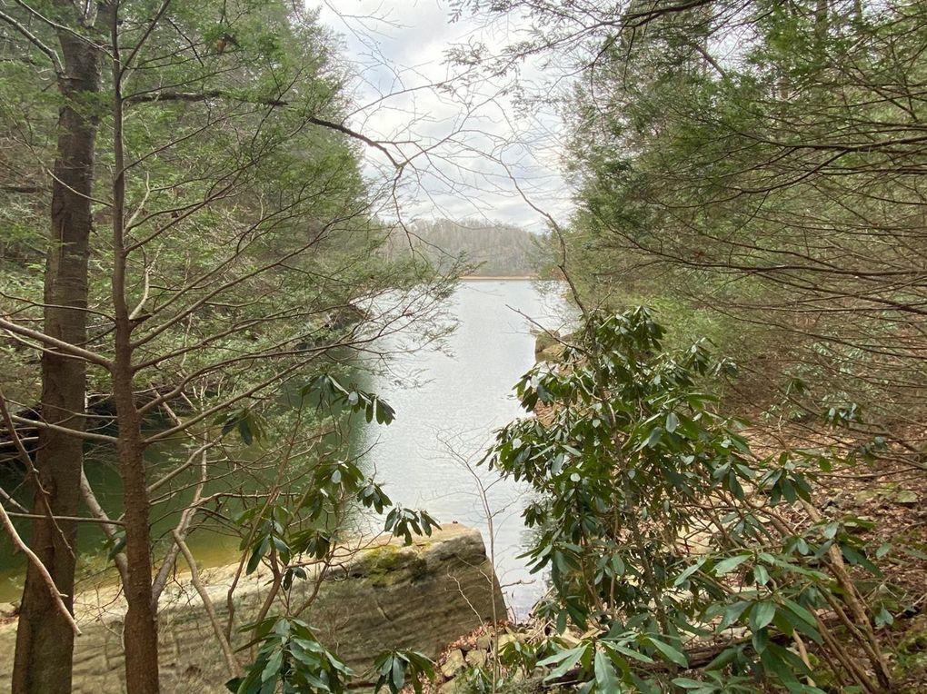 551 Rogers Road Property Photo 109
