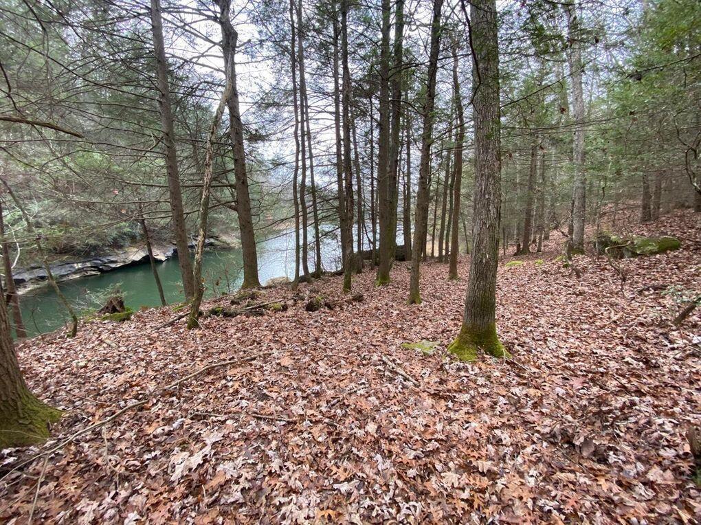 551 Rogers Road Property Photo 111