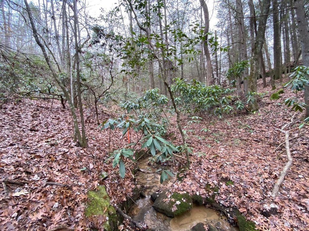 551 Rogers Road Property Photo 113