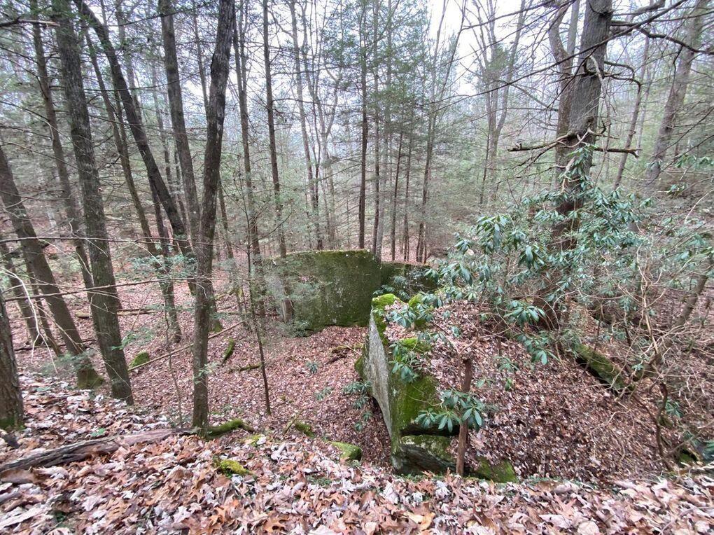 551 Rogers Road Property Photo 116