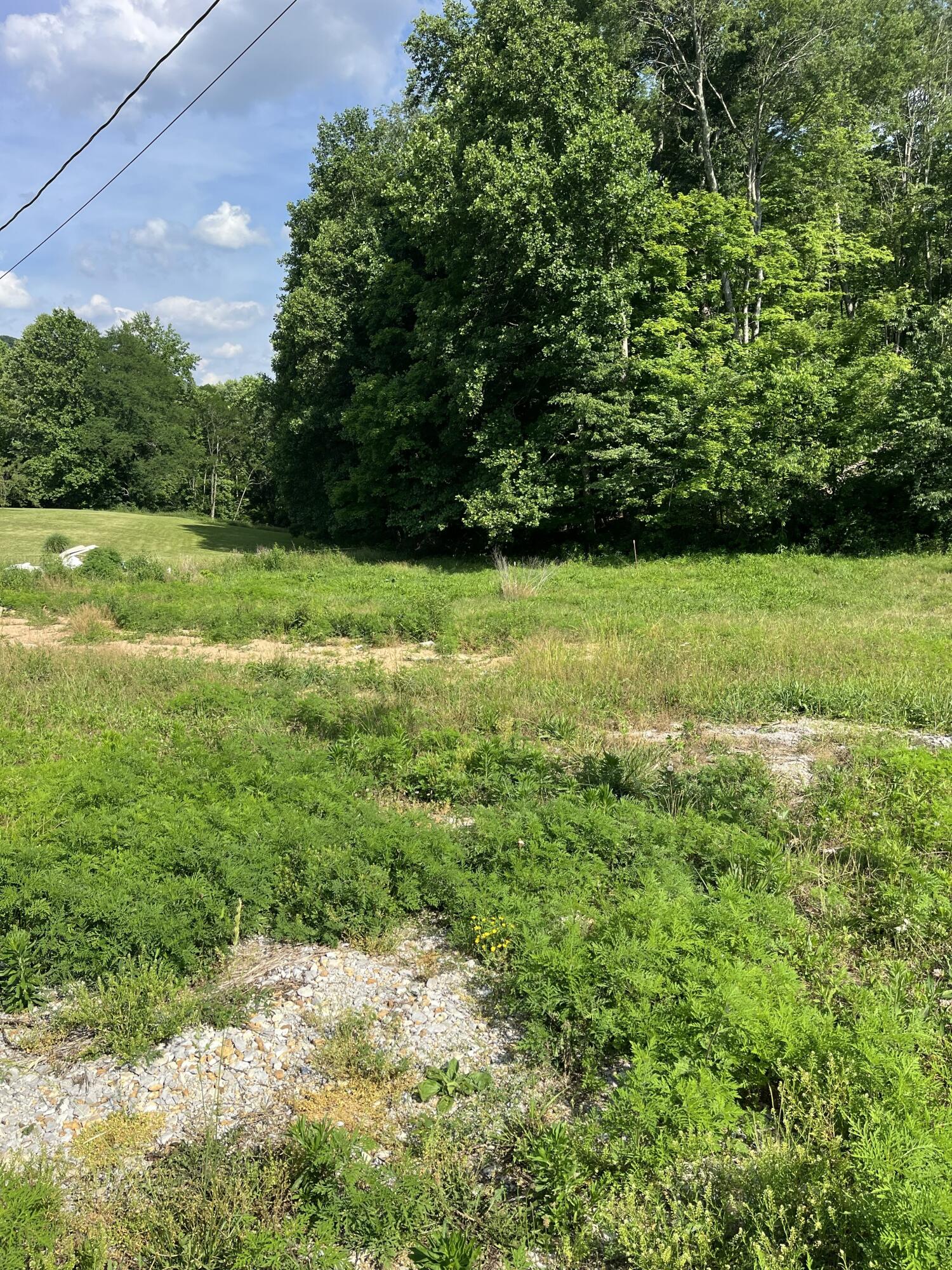 136 Taylor Loop Road Property Photo 2
