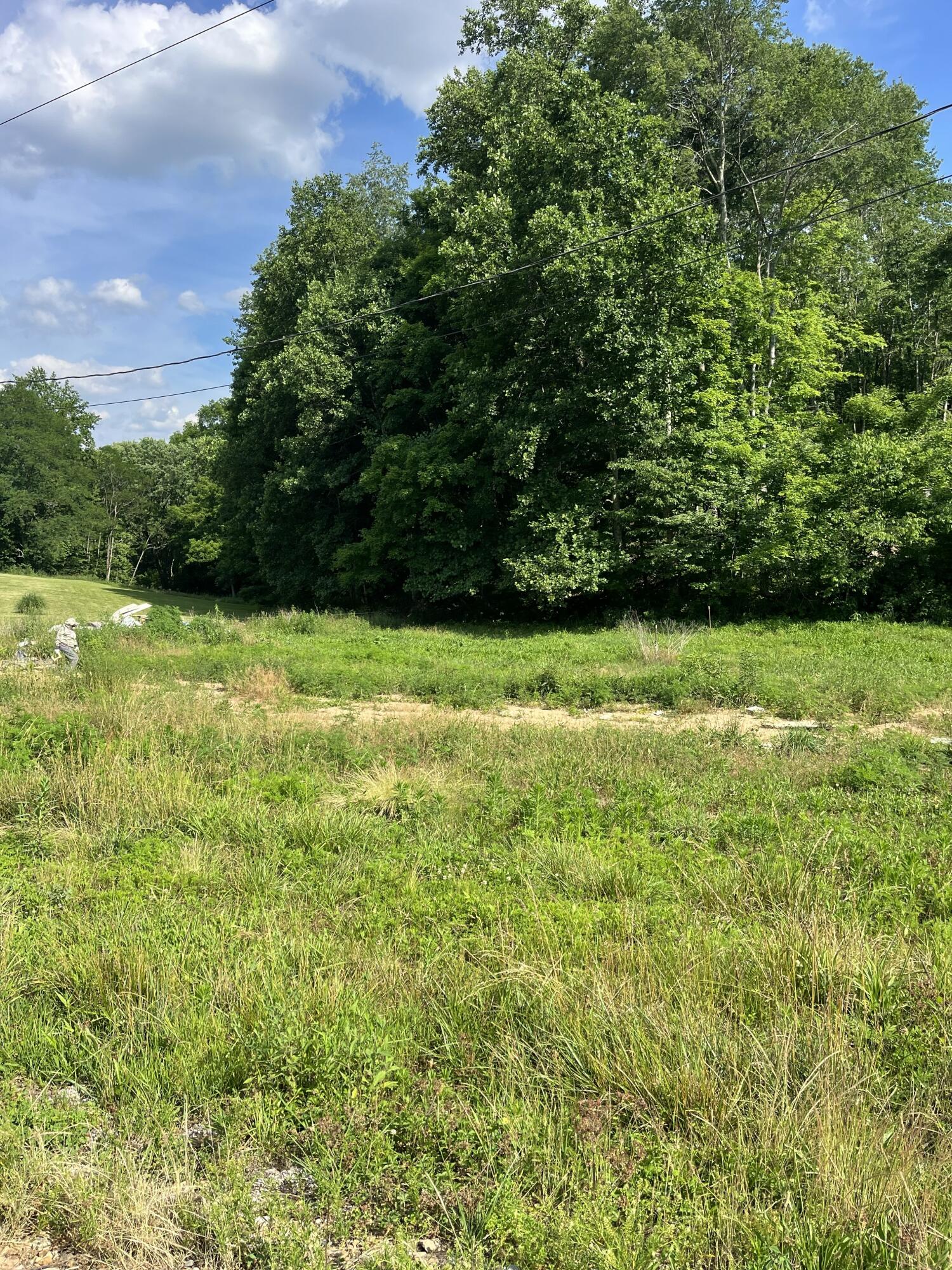 136 Taylor Loop Road Property Photo 7