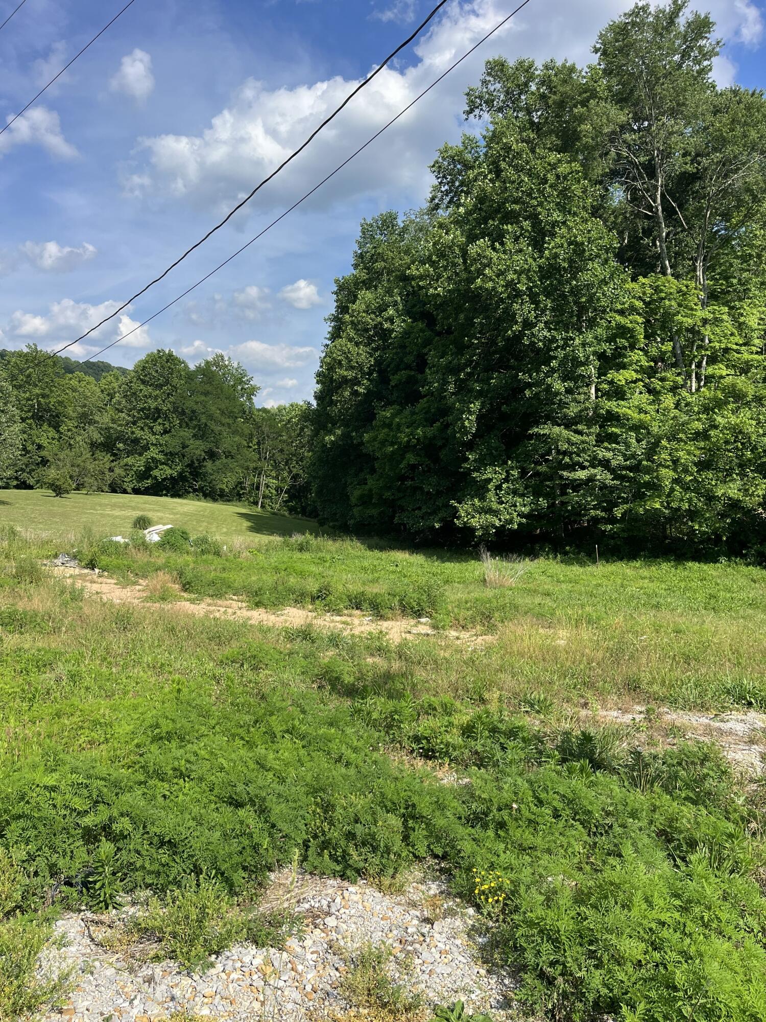 136 Taylor Loop Road Property Photo 10