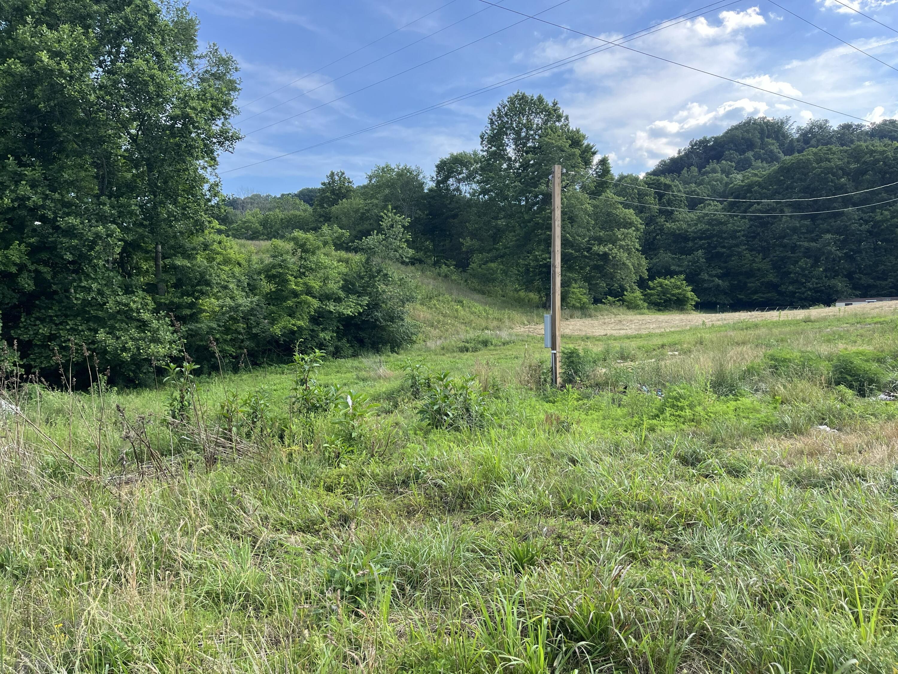 136 Taylor Loop Road Property Photo 18