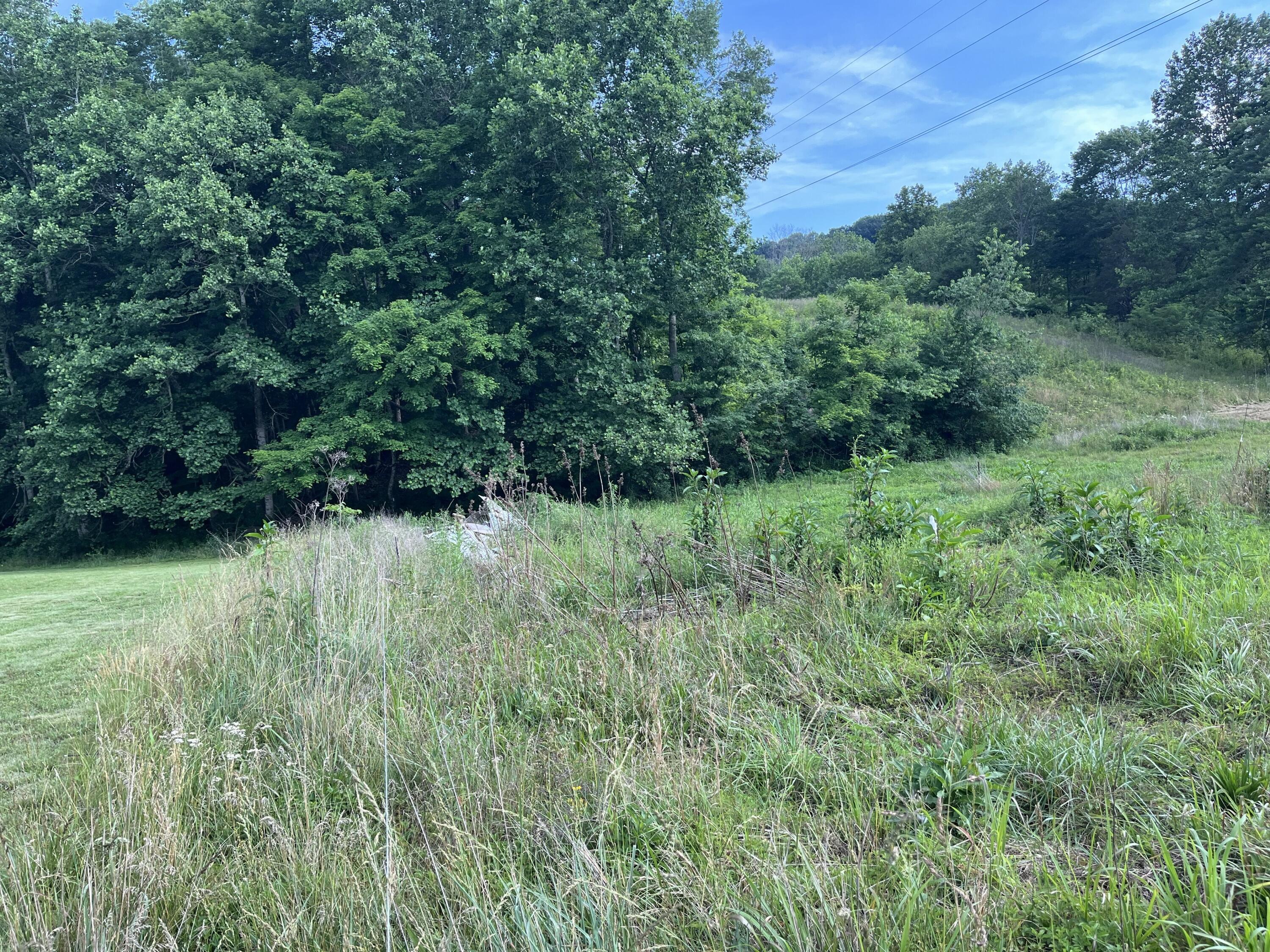 136 Taylor Loop Road Property Photo 19