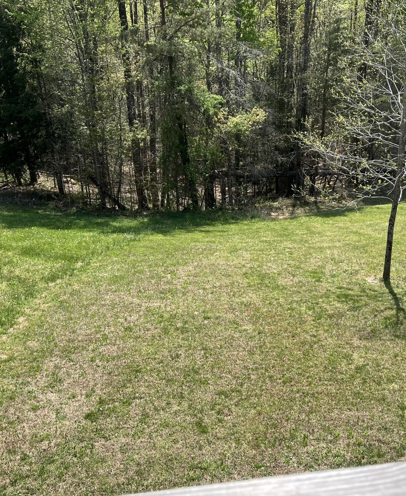 185 Turkey Ridge Road Property Photo 42