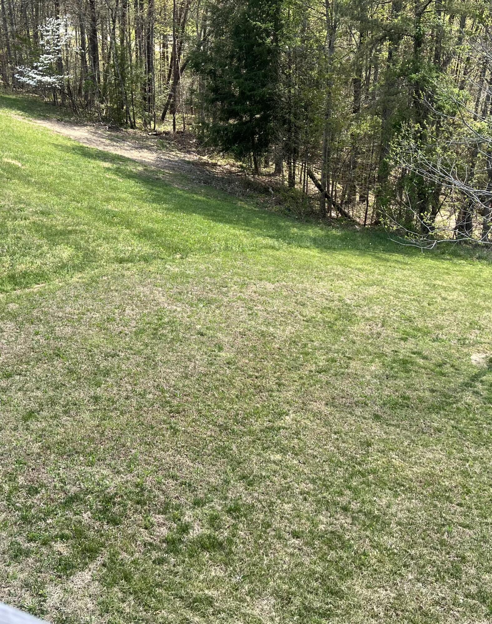 185 Turkey Ridge Road Property Photo 43