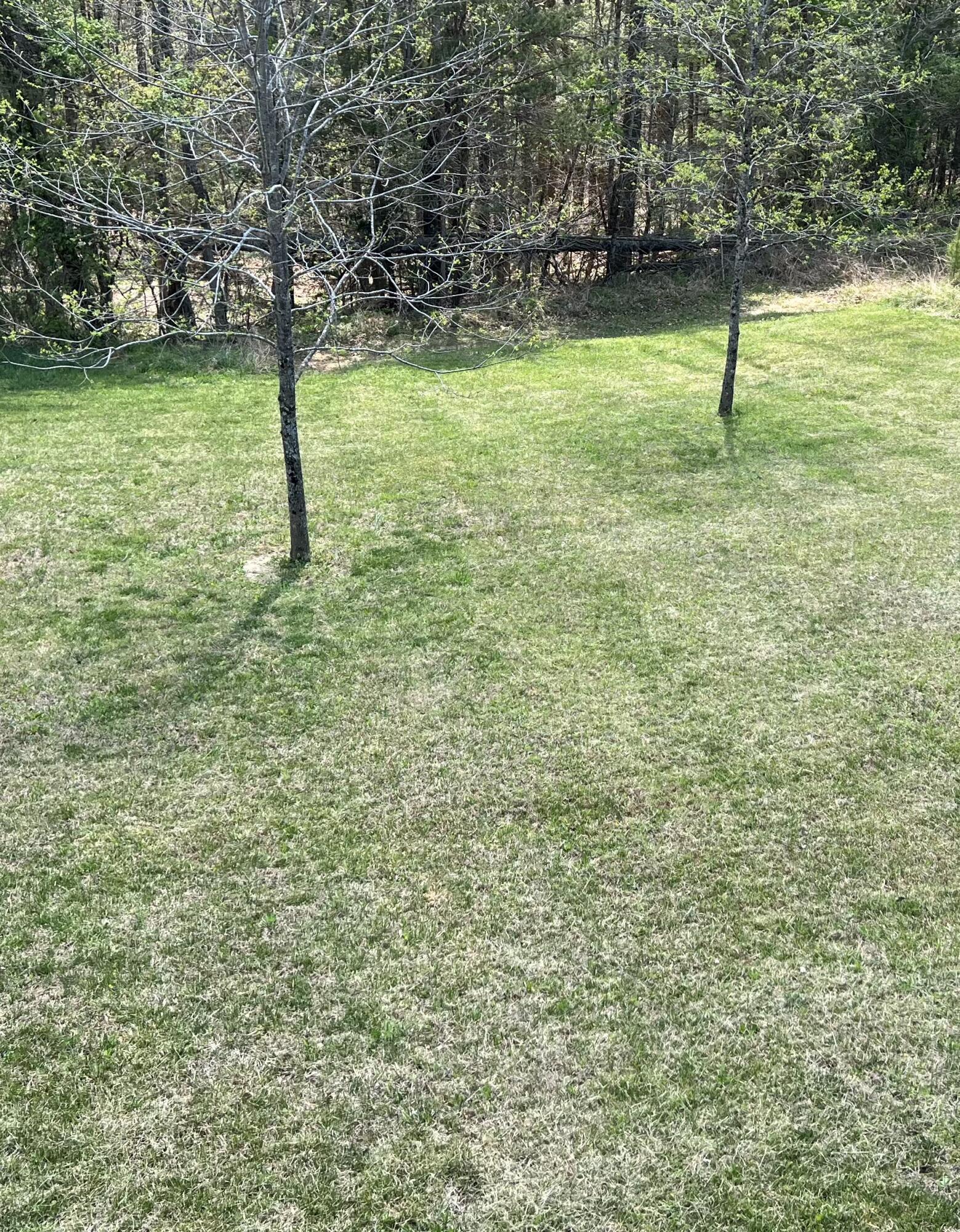 185 Turkey Ridge Road Property Photo 44