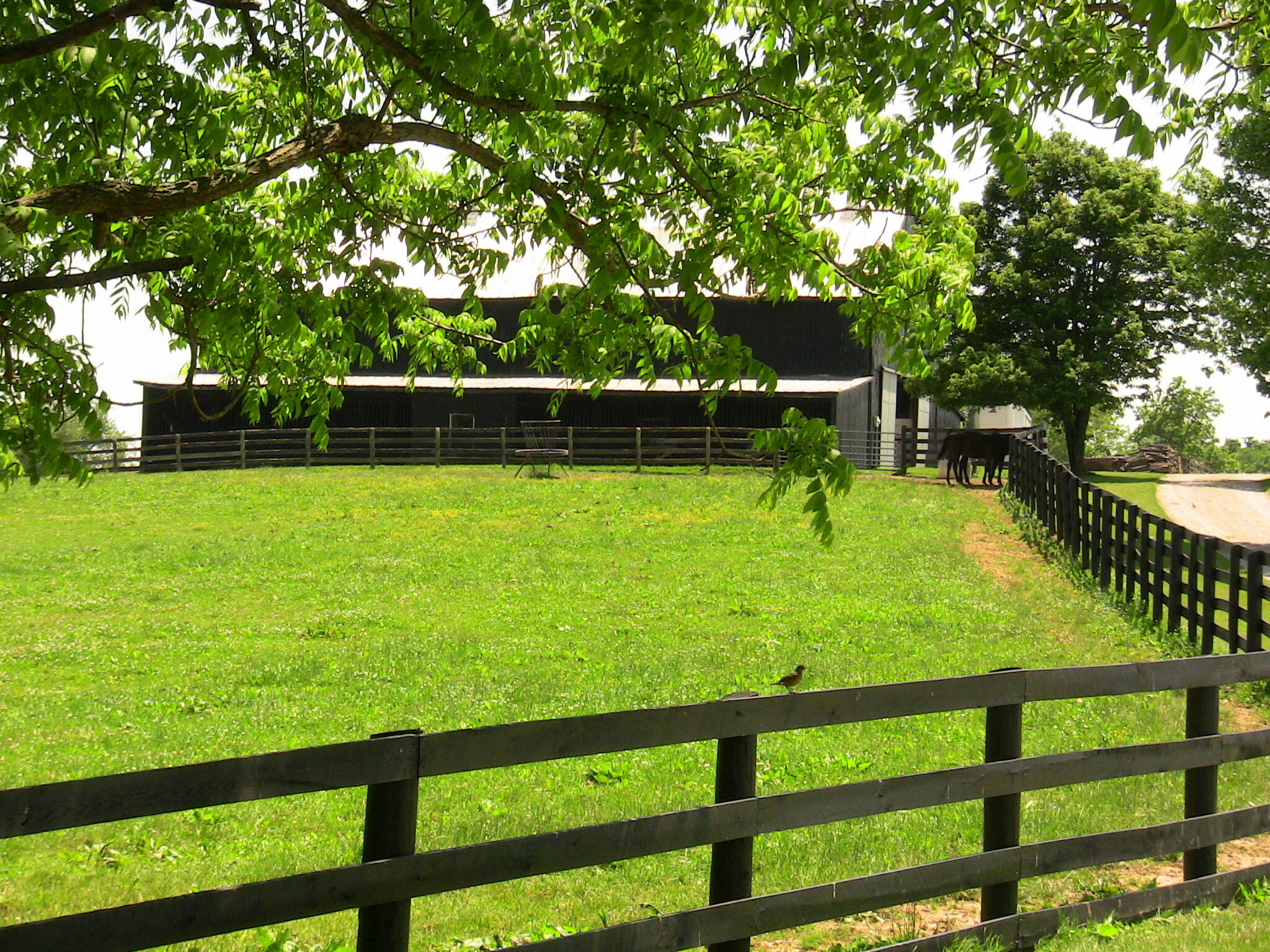 200 Carpenter Pike Property Photo 70