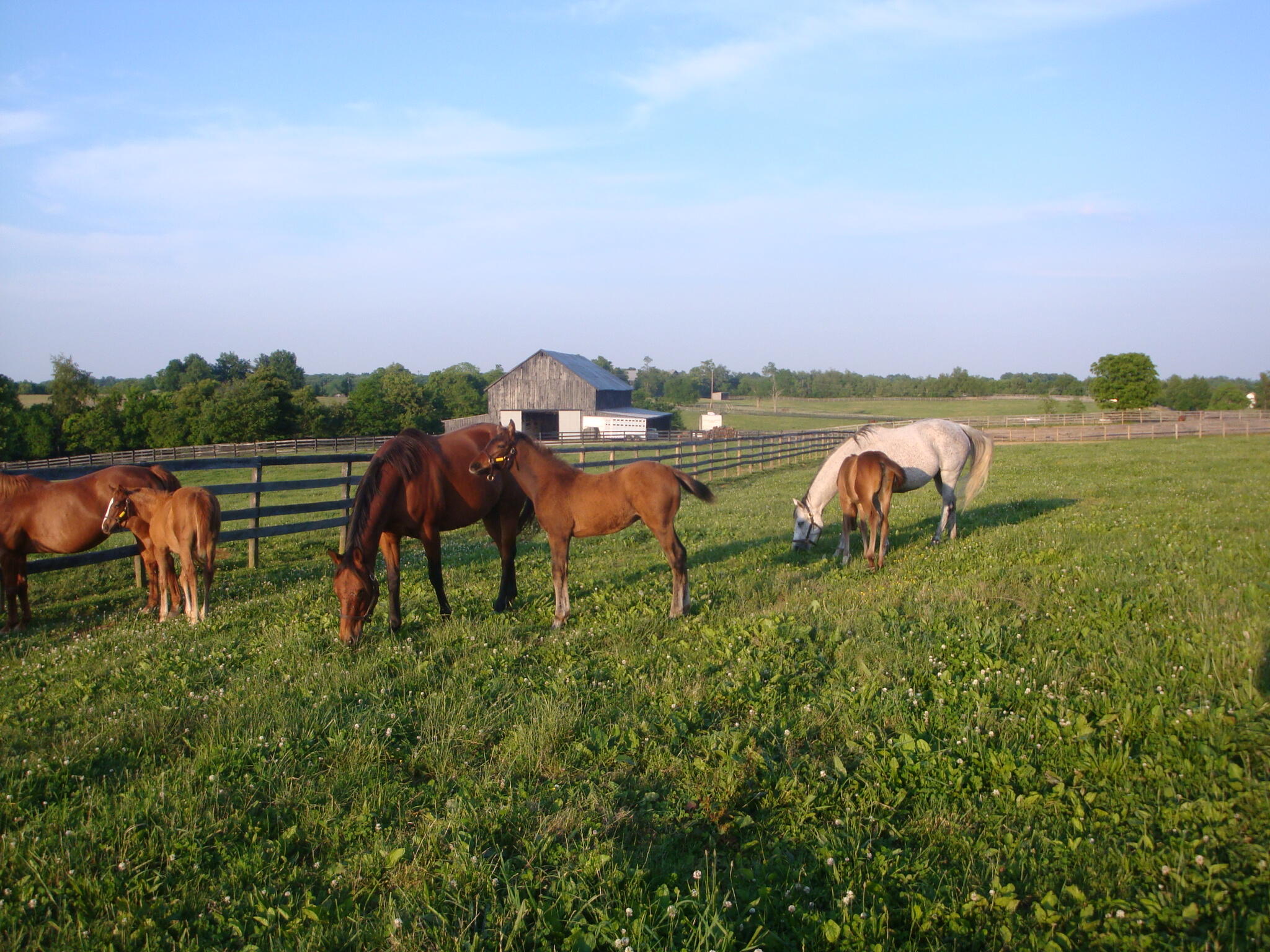 200 Carpenter Pike Property Photo 72
