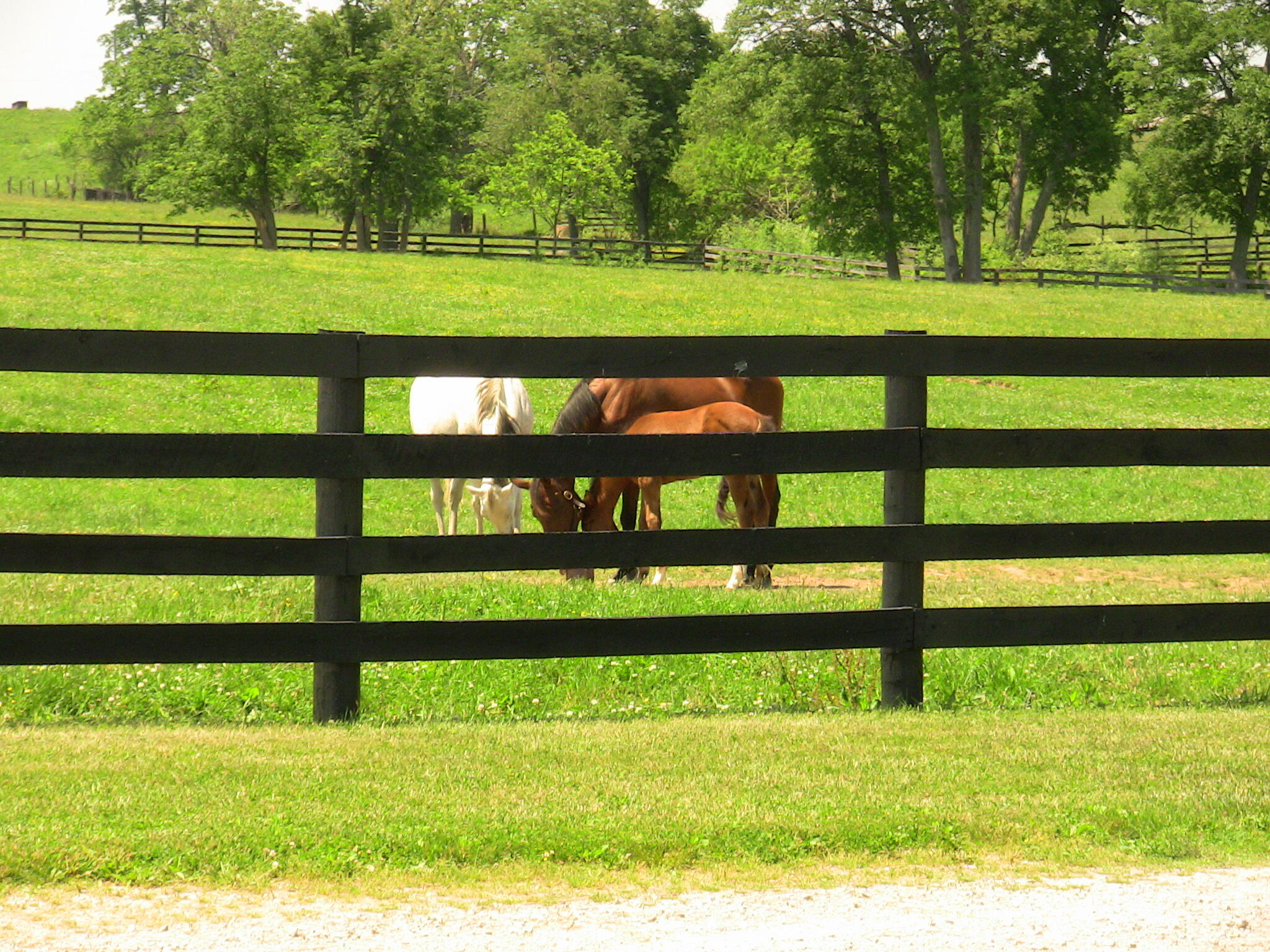 200 Carpenter Pike Property Photo 75
