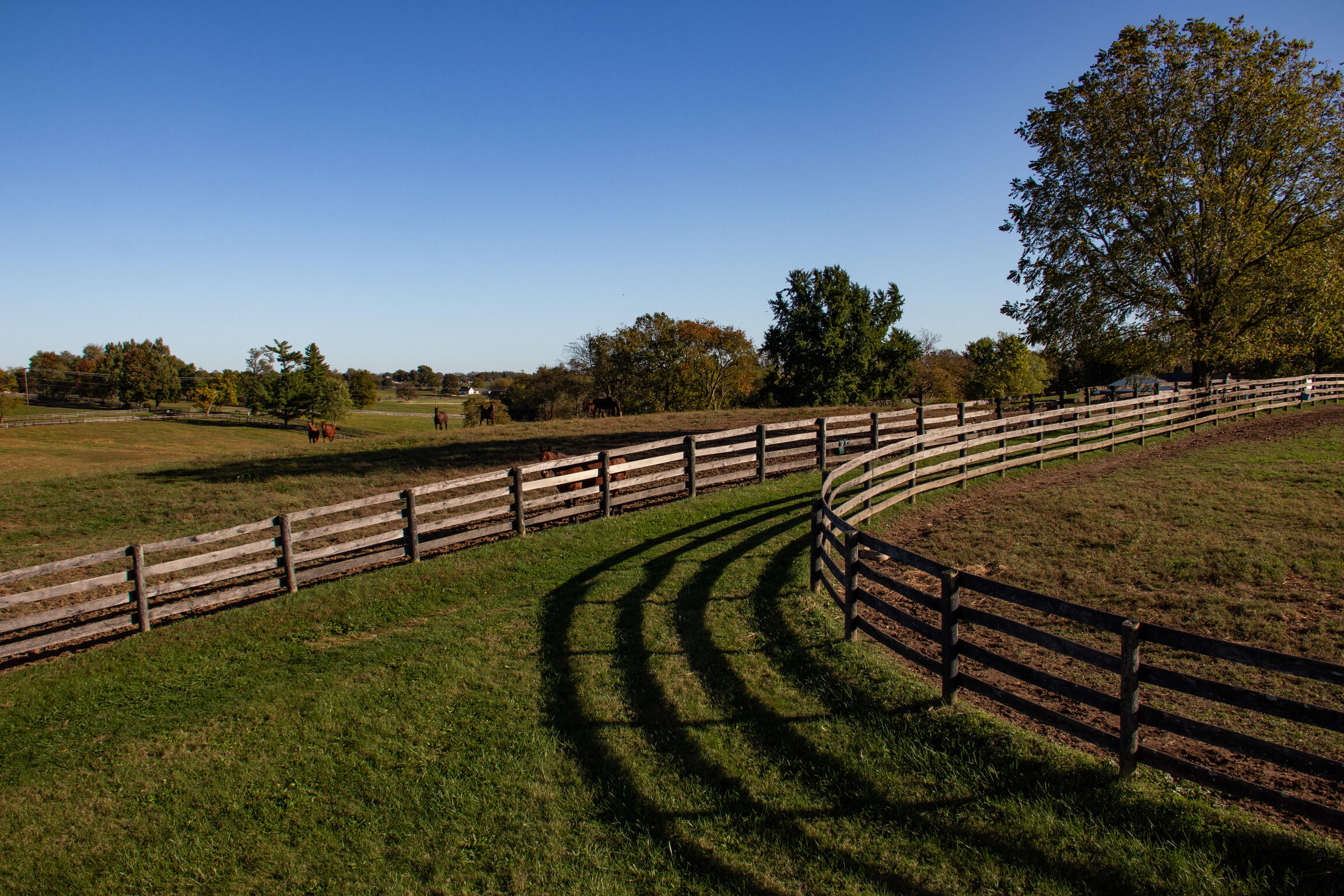 200 Carpenter Pike Property Photo 77