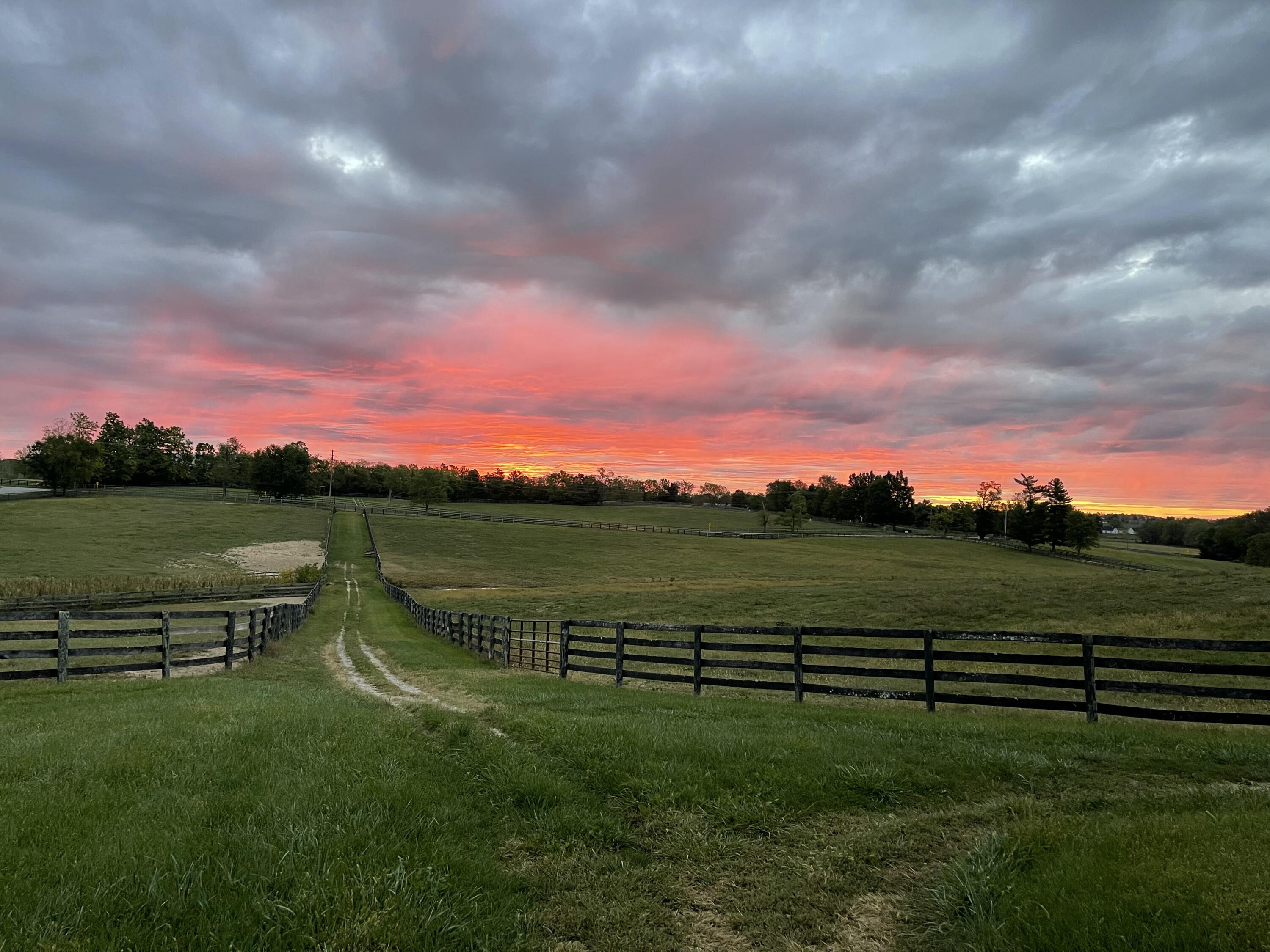 200 Carpenter Pike Property Photo 80