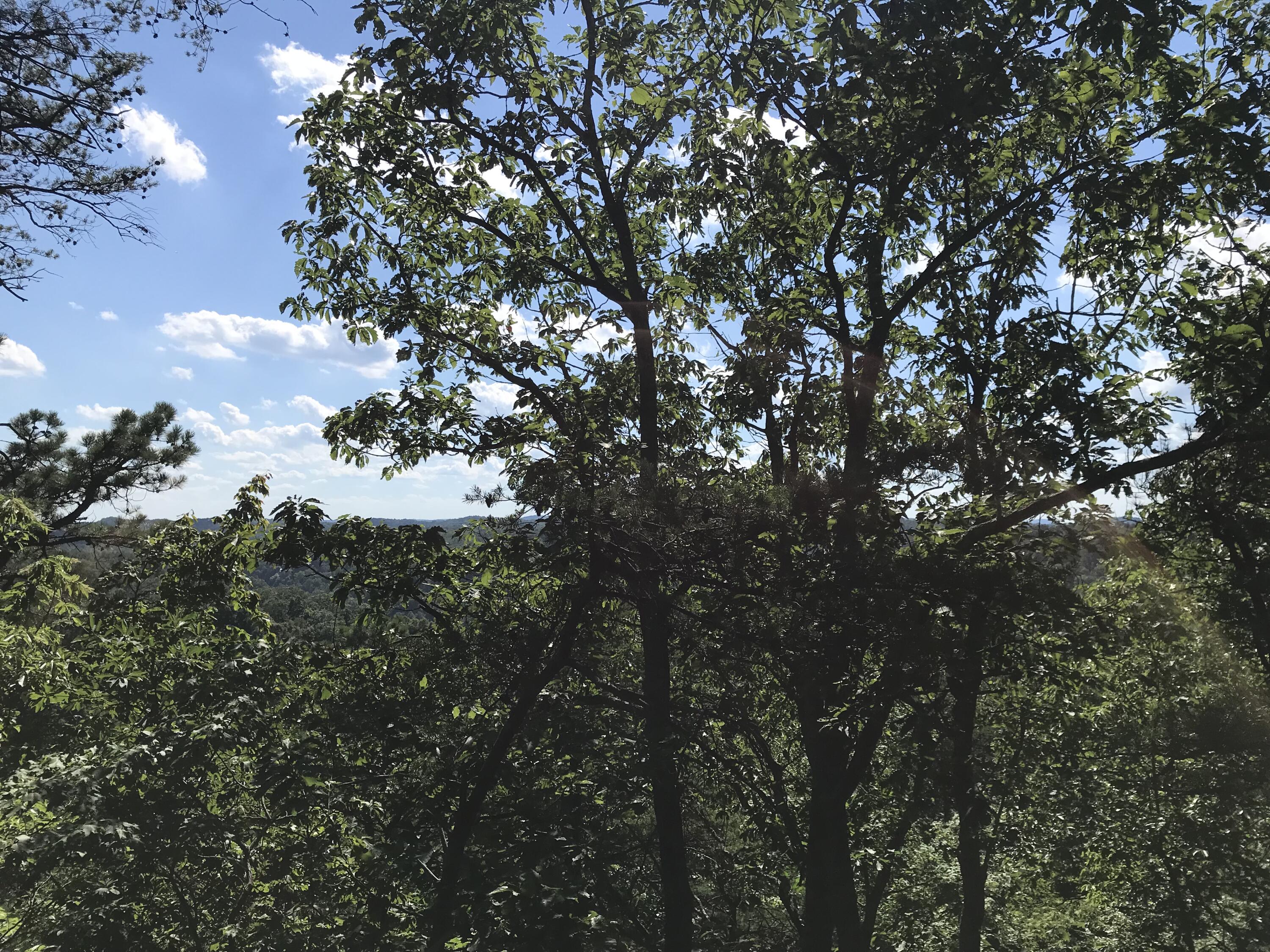 0 South Fork Property Photo 2