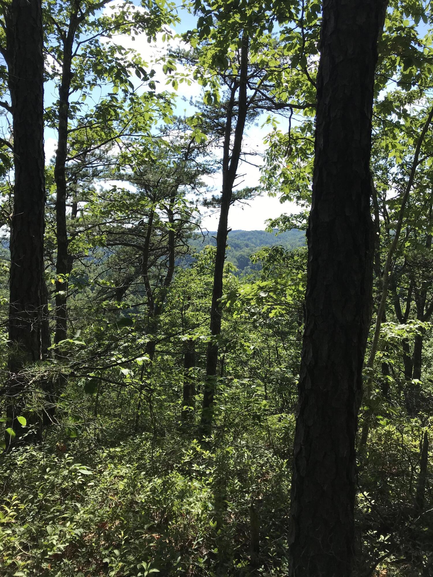 0 South Fork Property Photo 3