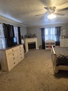 7269 Morehead Road Property Photo 16