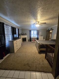 7269 Morehead Road Property Photo 19