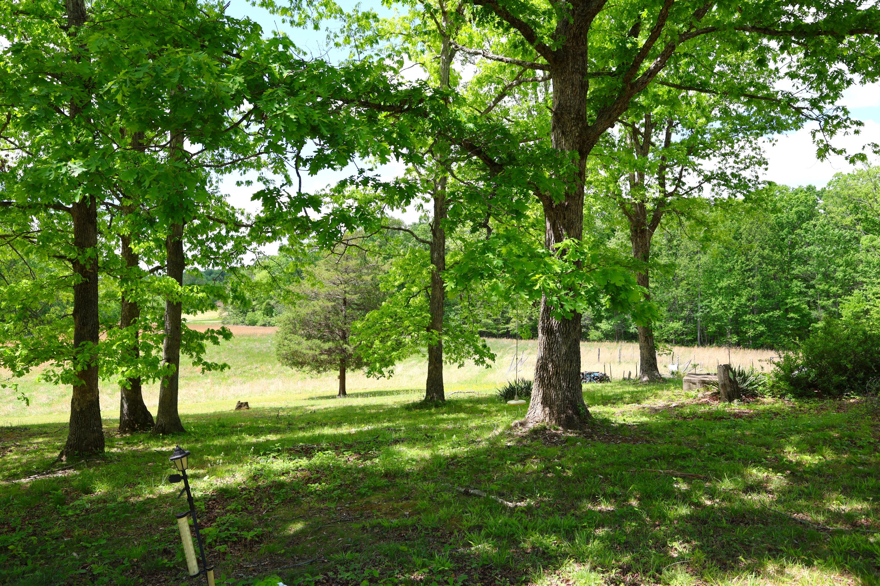 105 Stewart Fork Road Property Photo 18