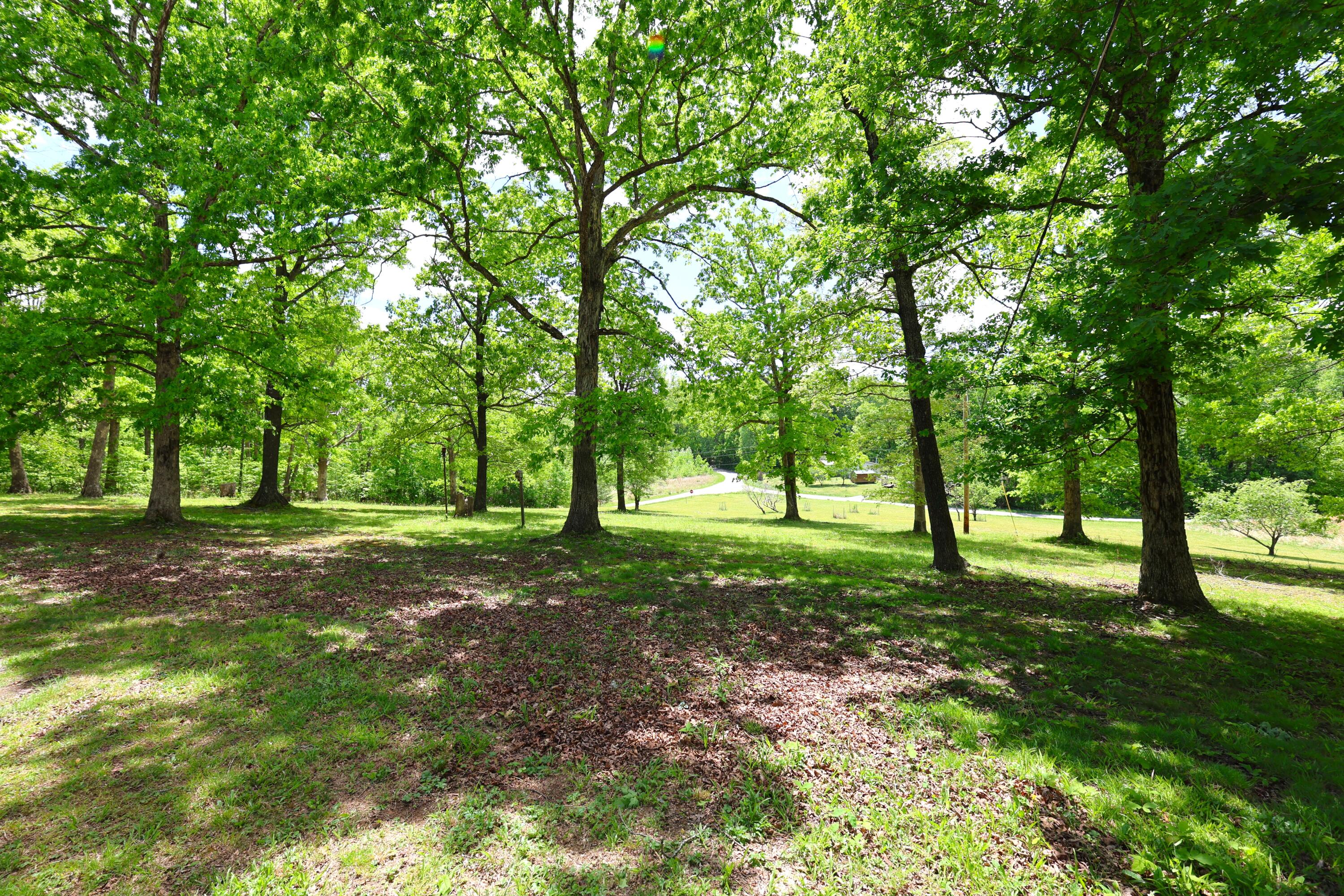 105 Stewart Fork Road Property Photo 20