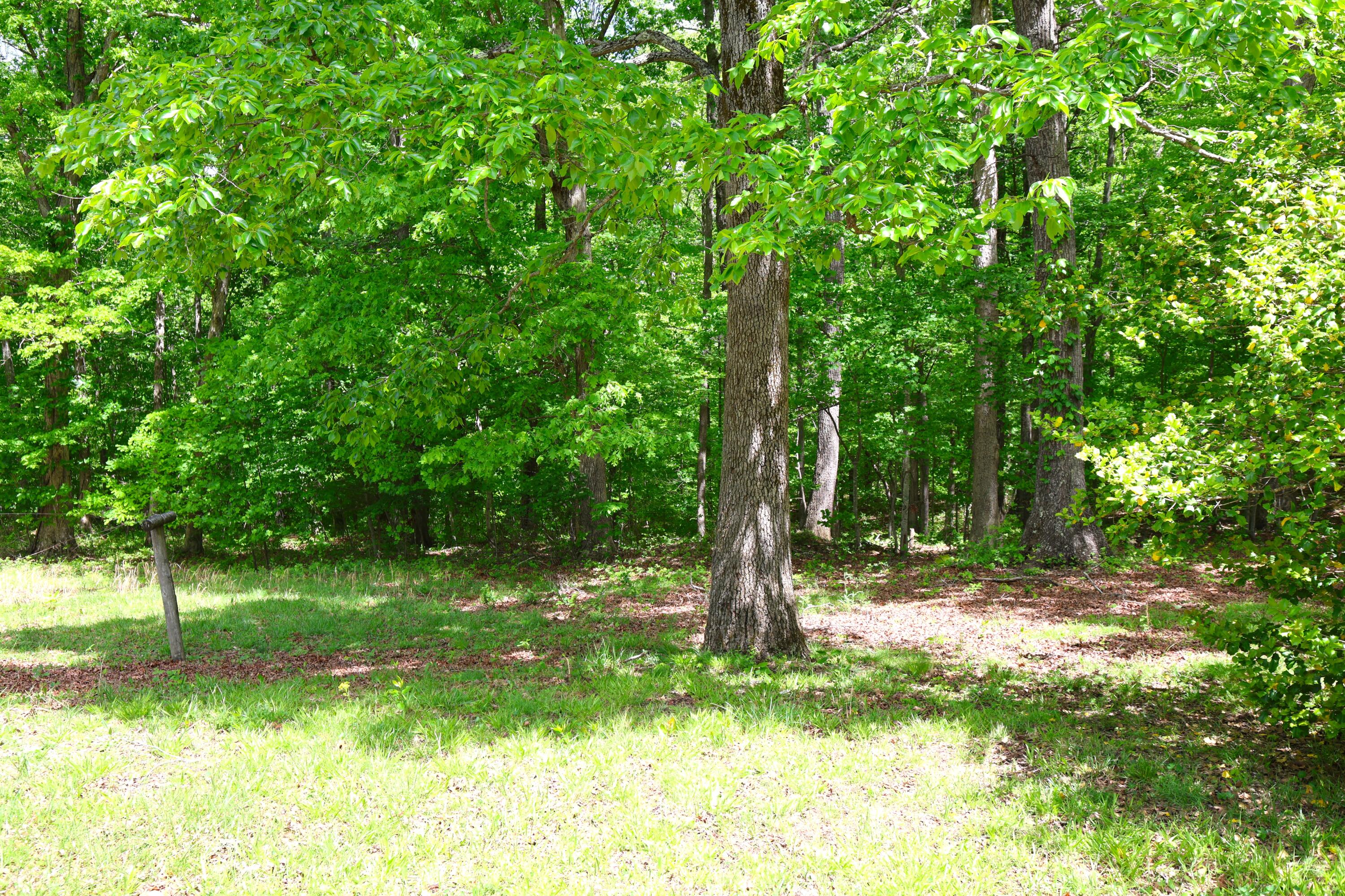 105 Stewart Fork Road Property Photo 53