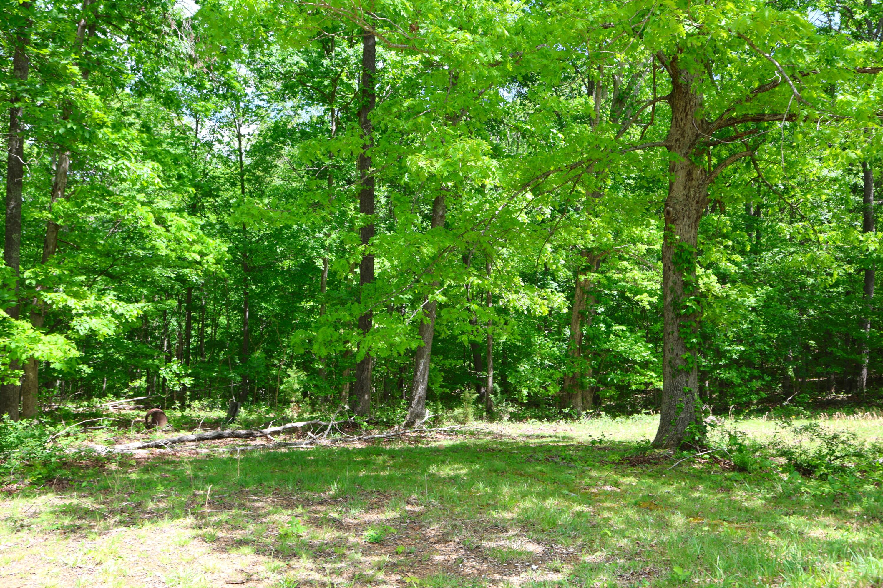 105 Stewart Fork Road Property Photo 54