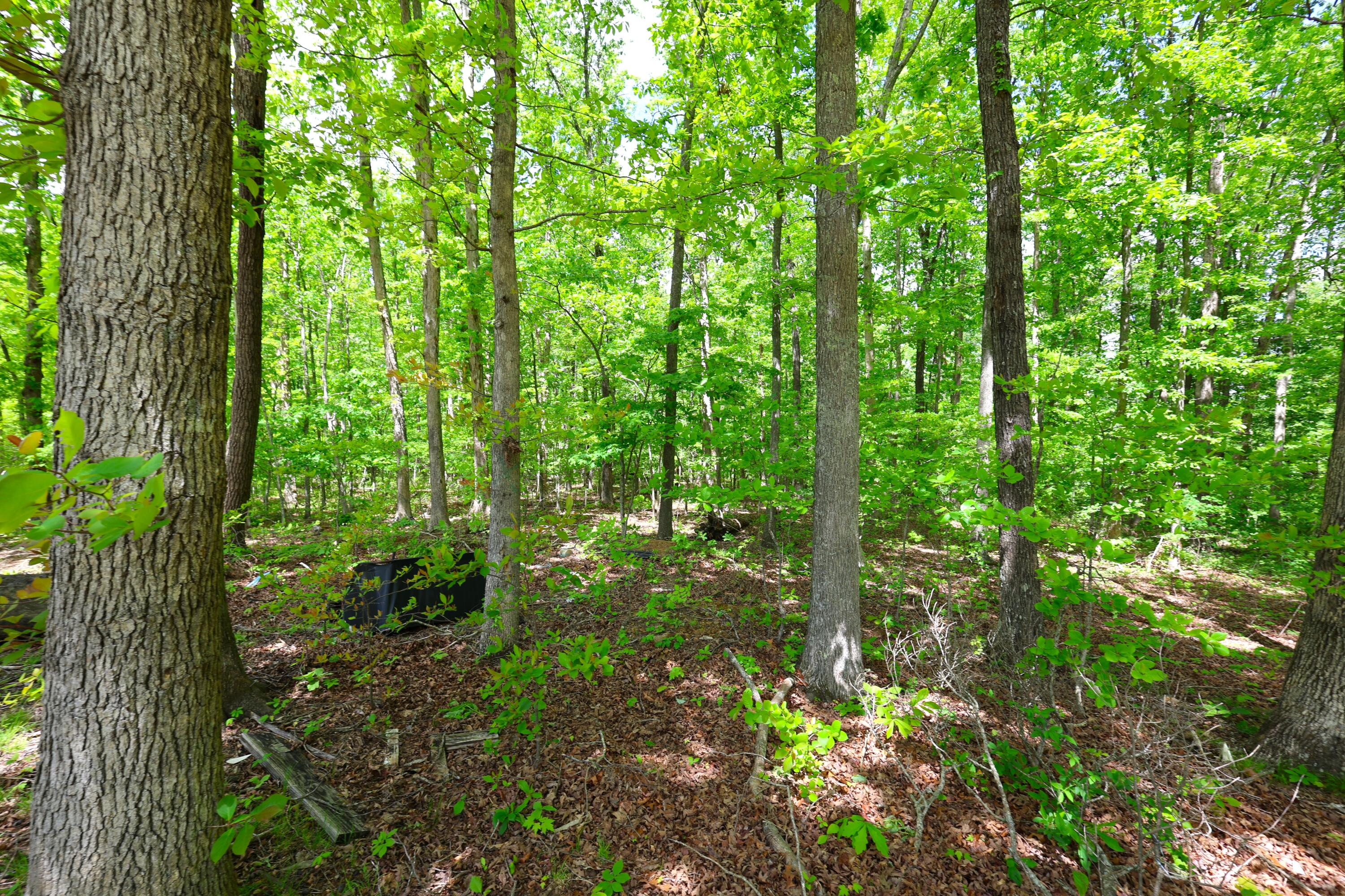 105 Stewart Fork Road Property Photo 55