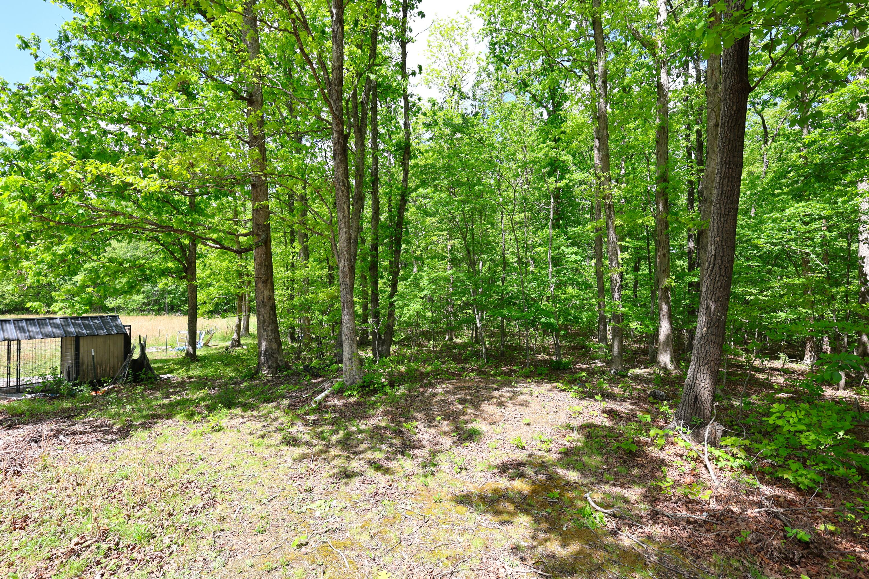 105 Stewart Fork Road Property Photo 56