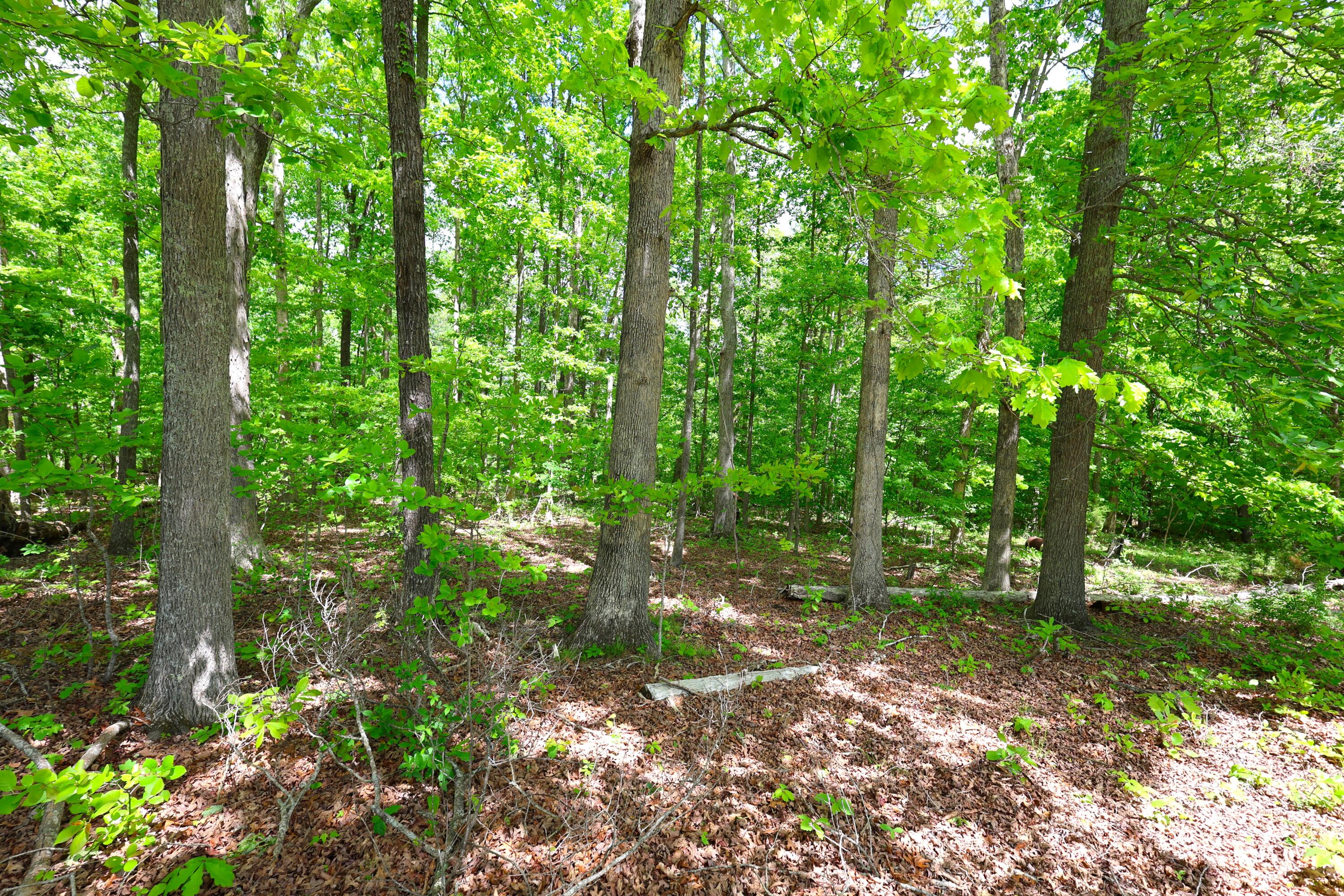 105 Stewart Fork Road Property Photo 58