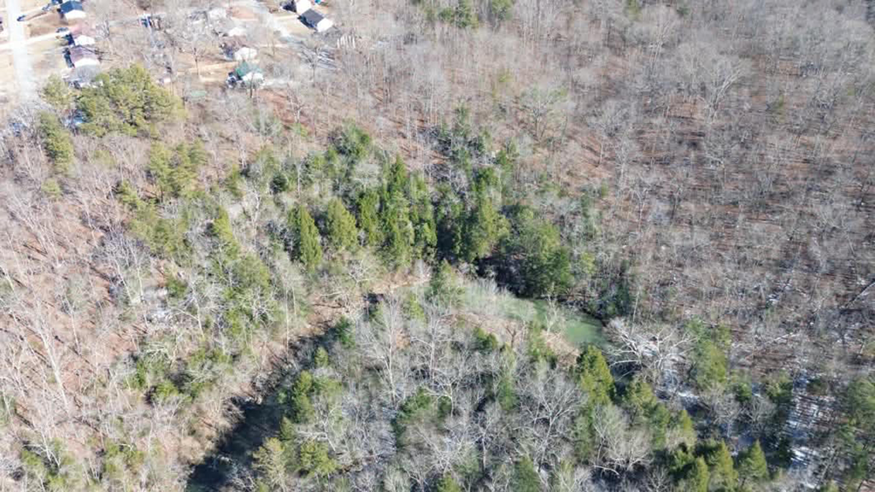 0 Foley Road Property Photo 5