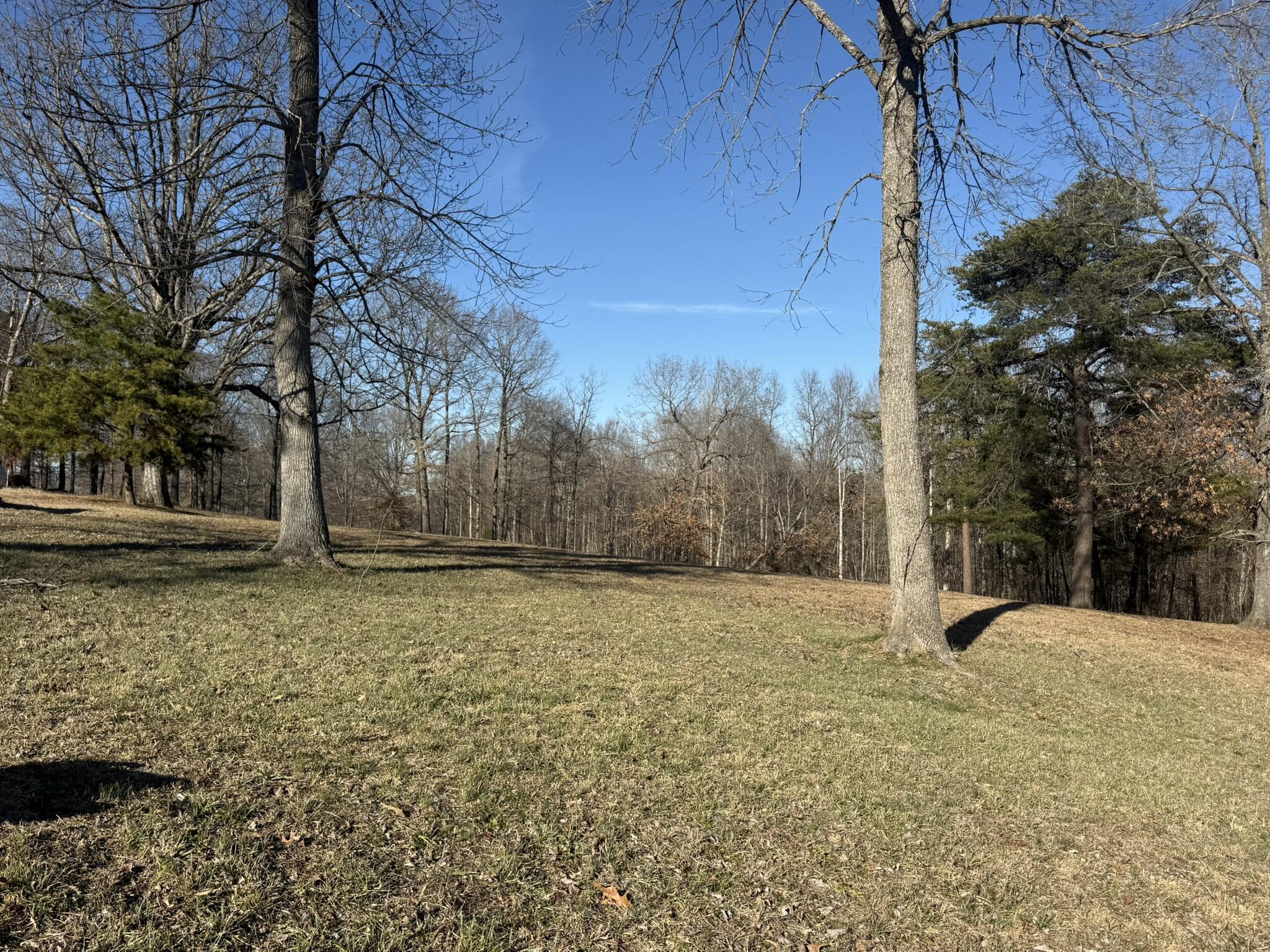 1 Penny Lane Property Photo 4