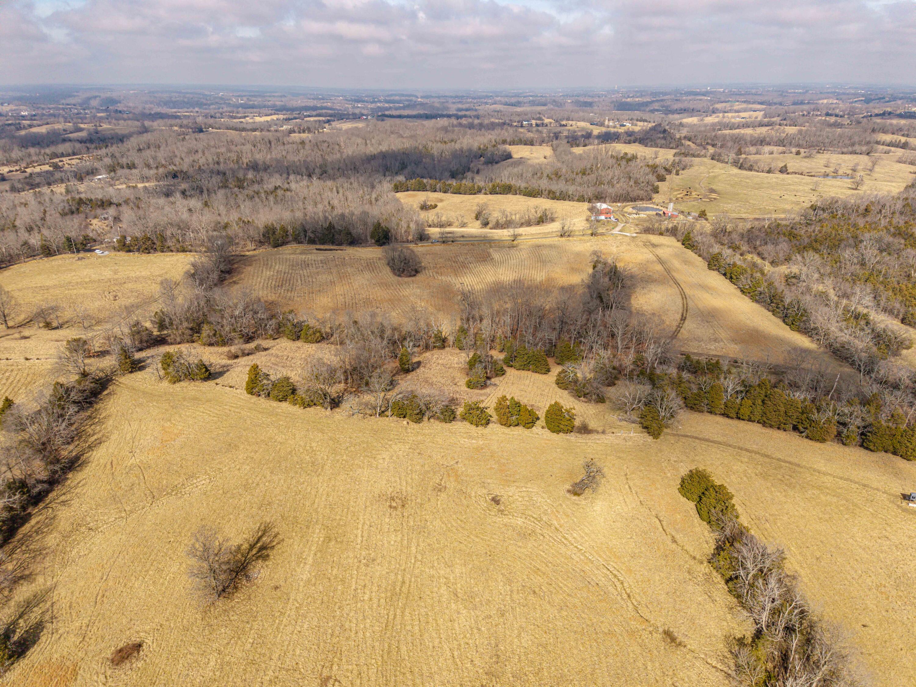 Lot 2 Delaney Road Delaney Road Lot 2 Property Photo 18