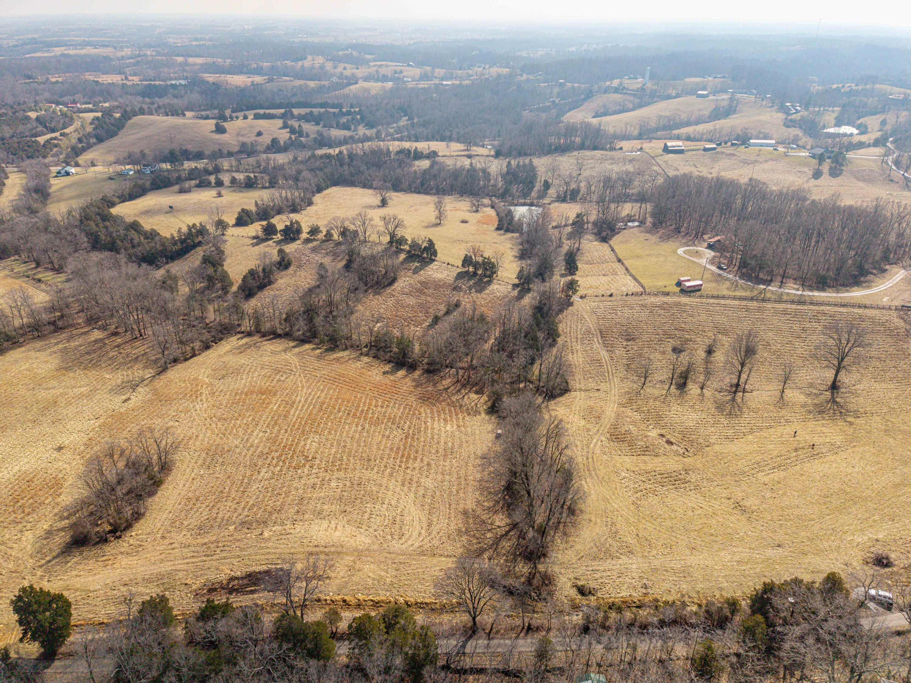 Lot 3 Delaney Road Property Photo 7