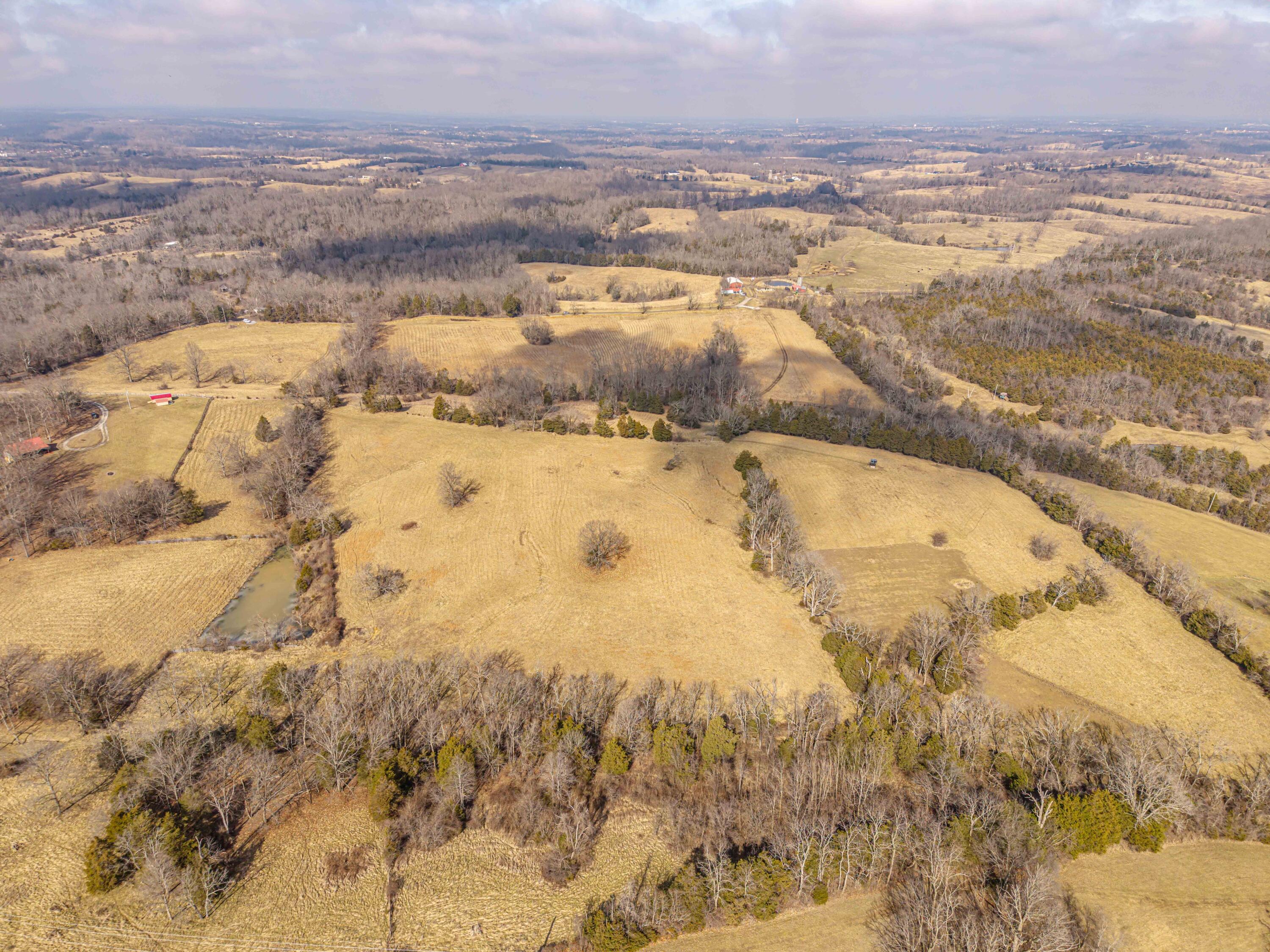 Lot 3 Delaney Road Property Photo 15