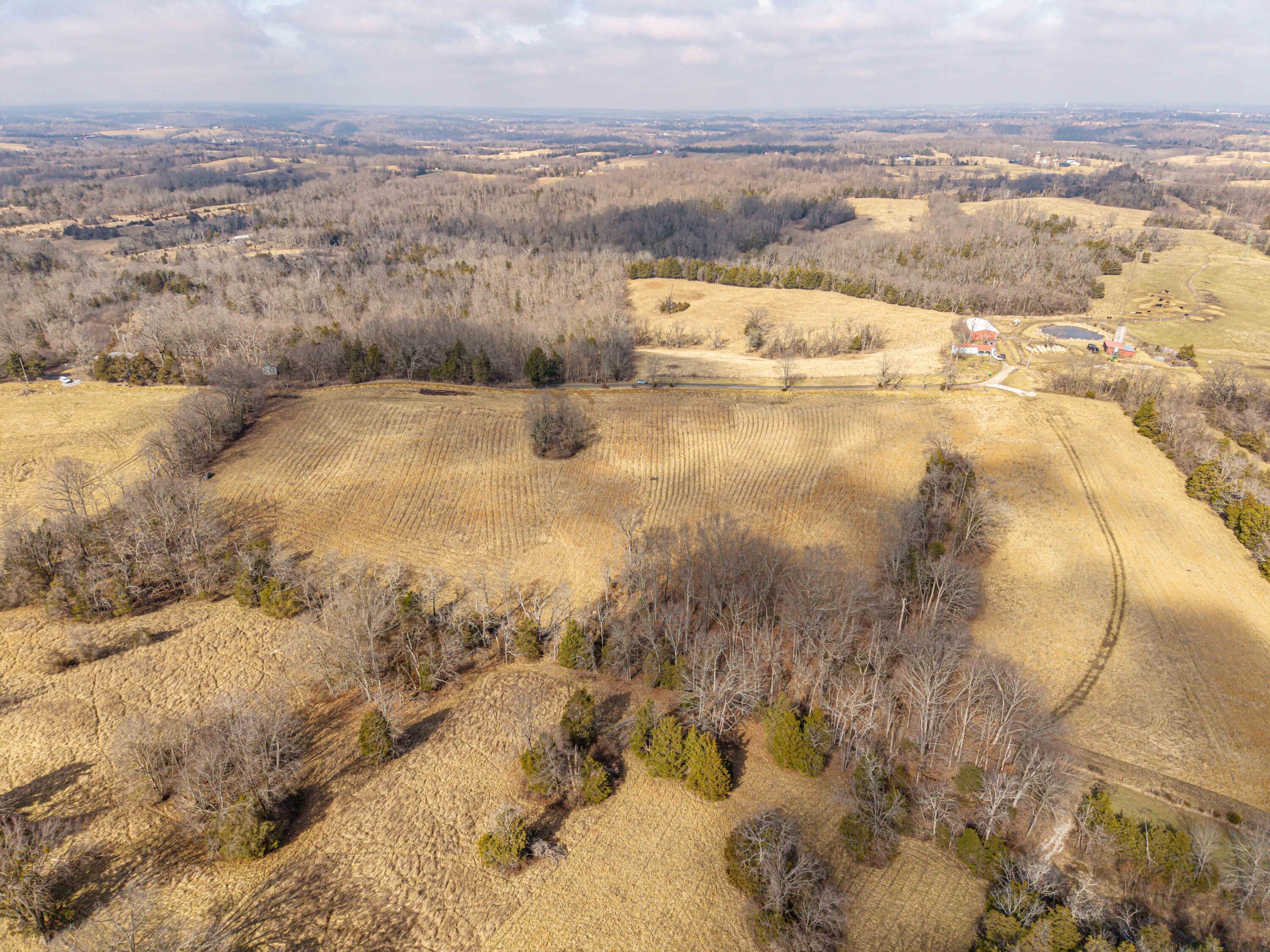 Lot 3 Delaney Road Property Photo 19