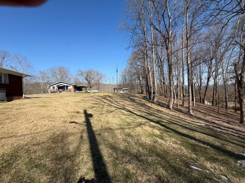 184 Osborne Road Property Photo 9
