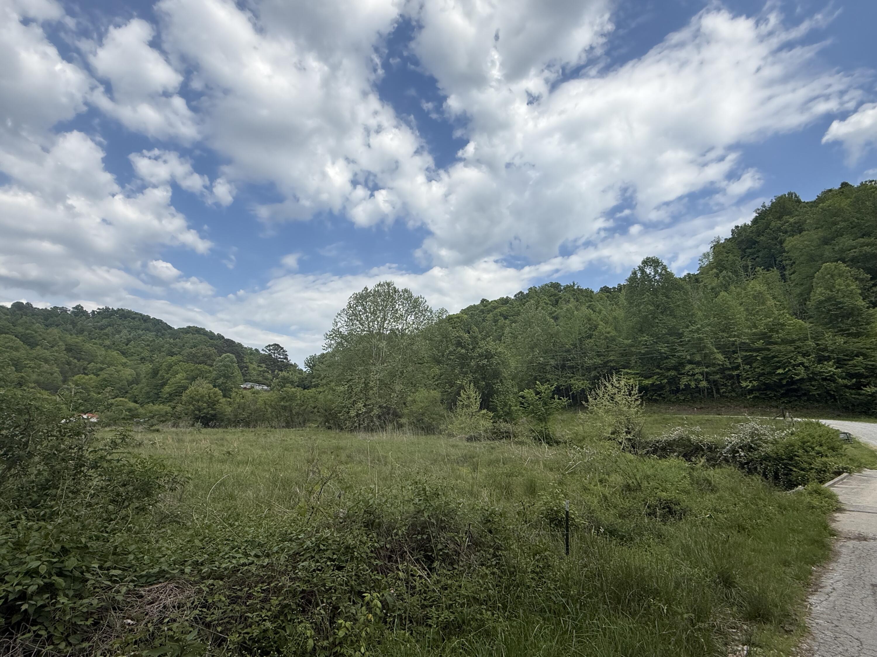 9999 Hammons Fork Road Property Photo 2