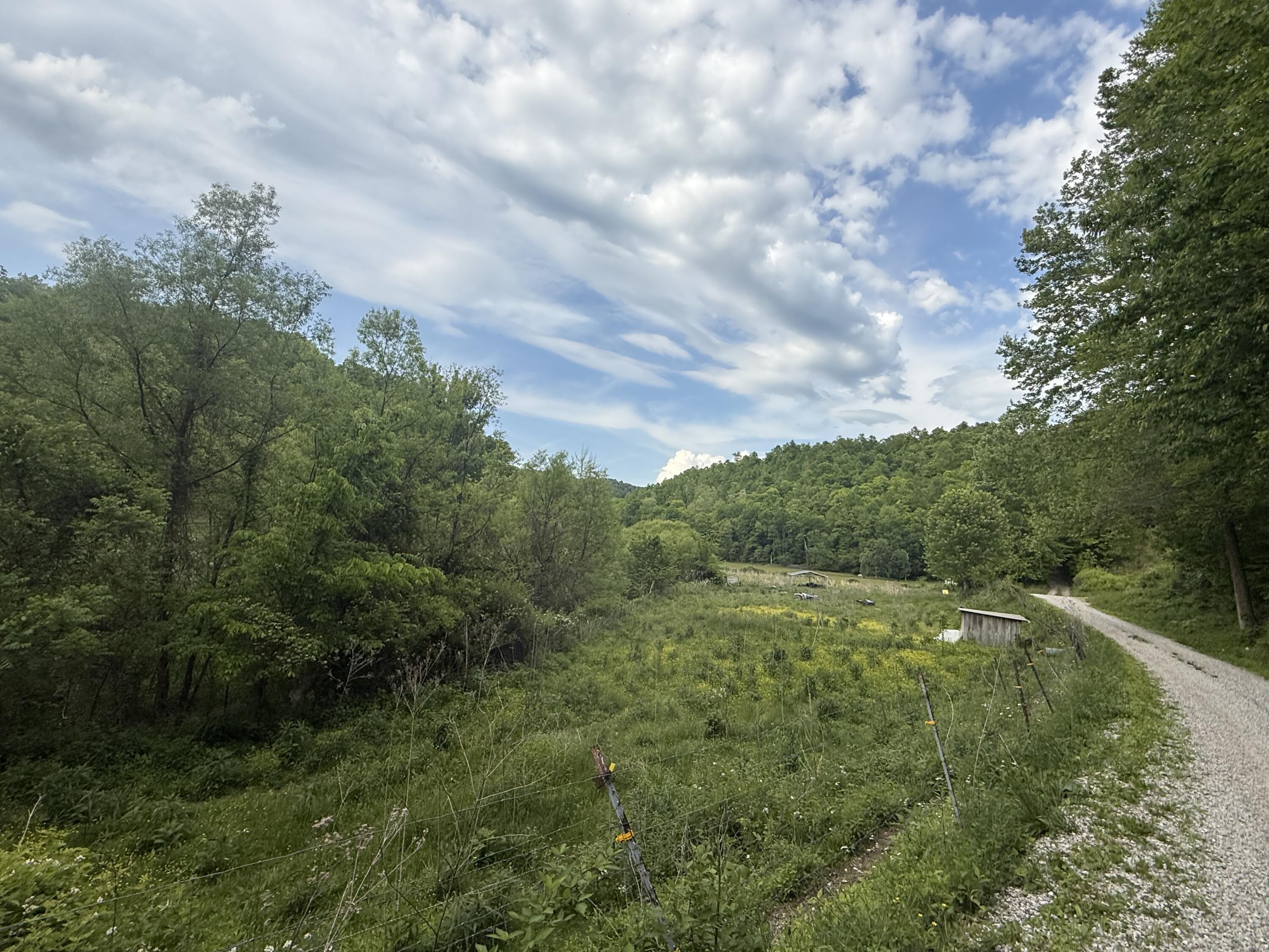 9999 Hammons Fork Road Property Photo 5