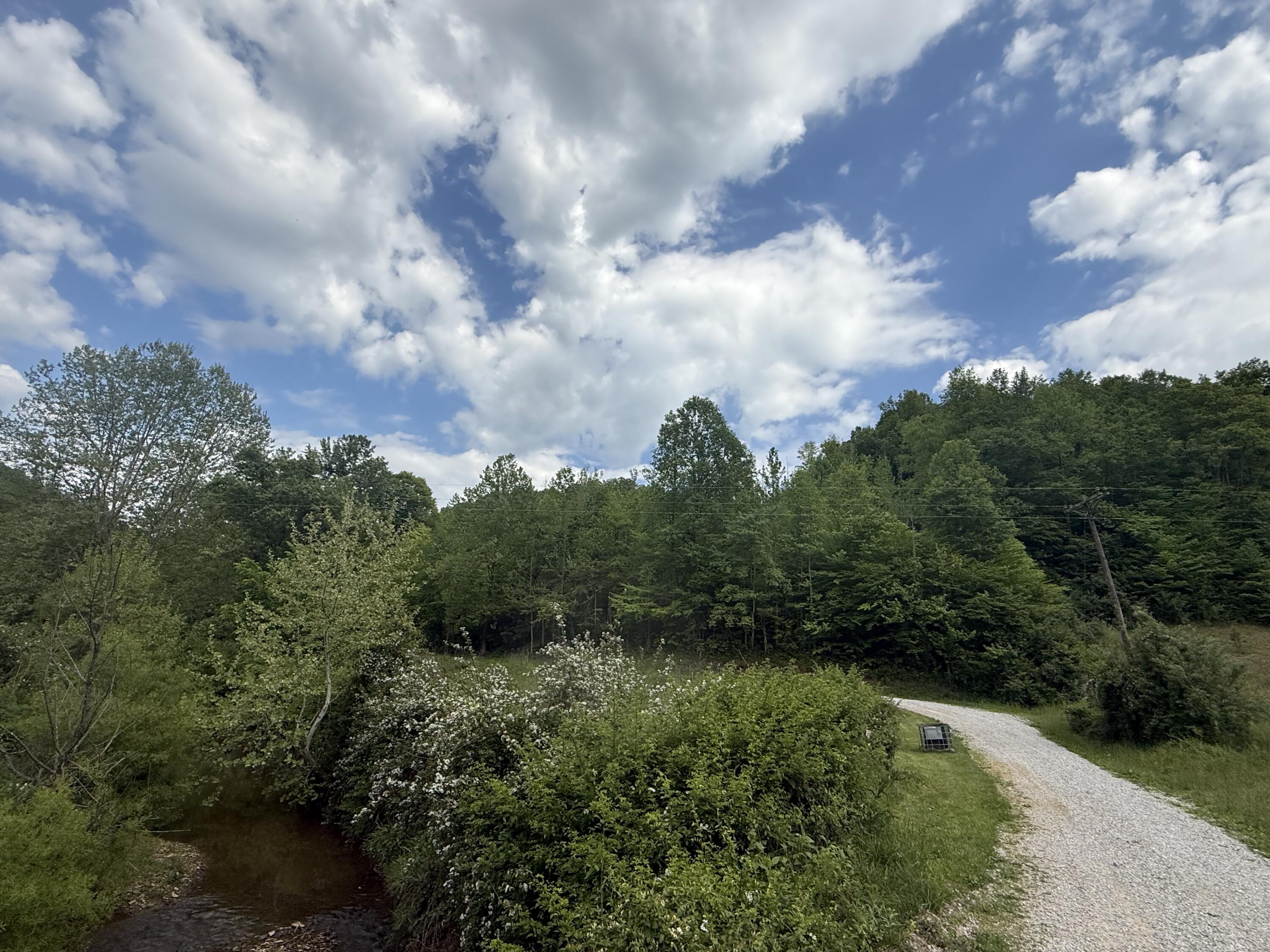 9999 Hammons Fork Road Property Photo 6