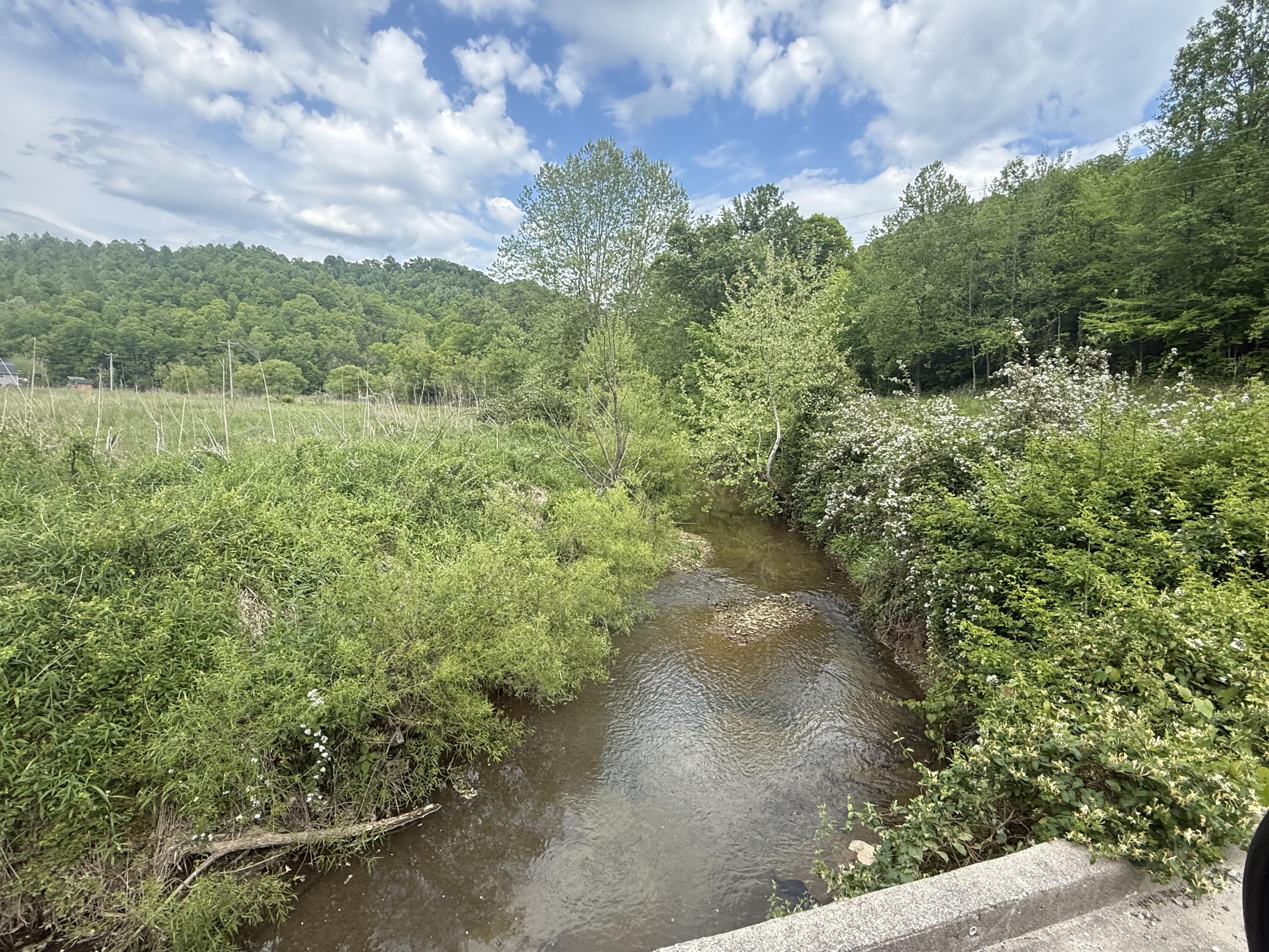 9999 Hammons Fork Road Property Photo 7