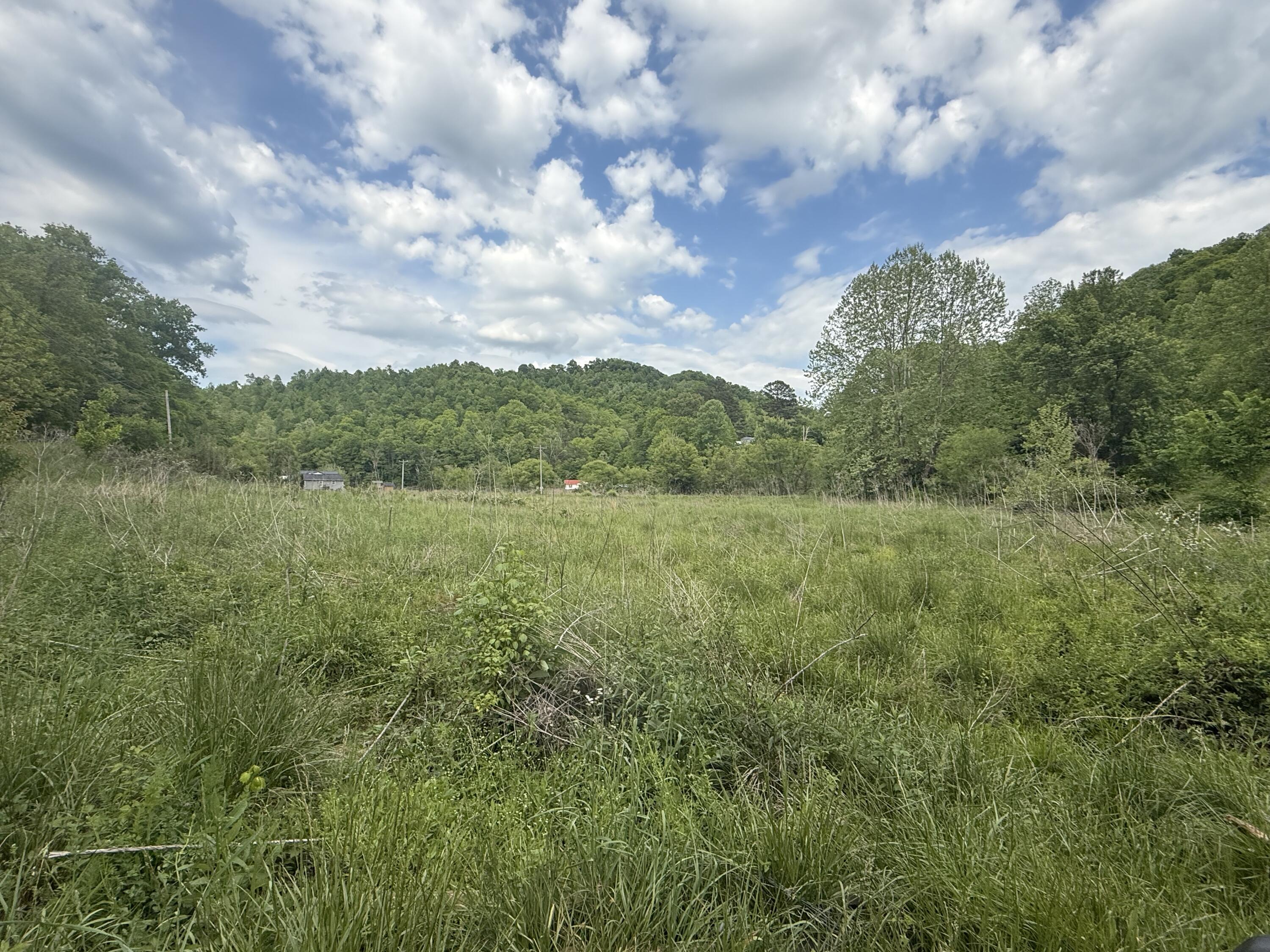 9999 Hammons Fork Road Property Photo 8