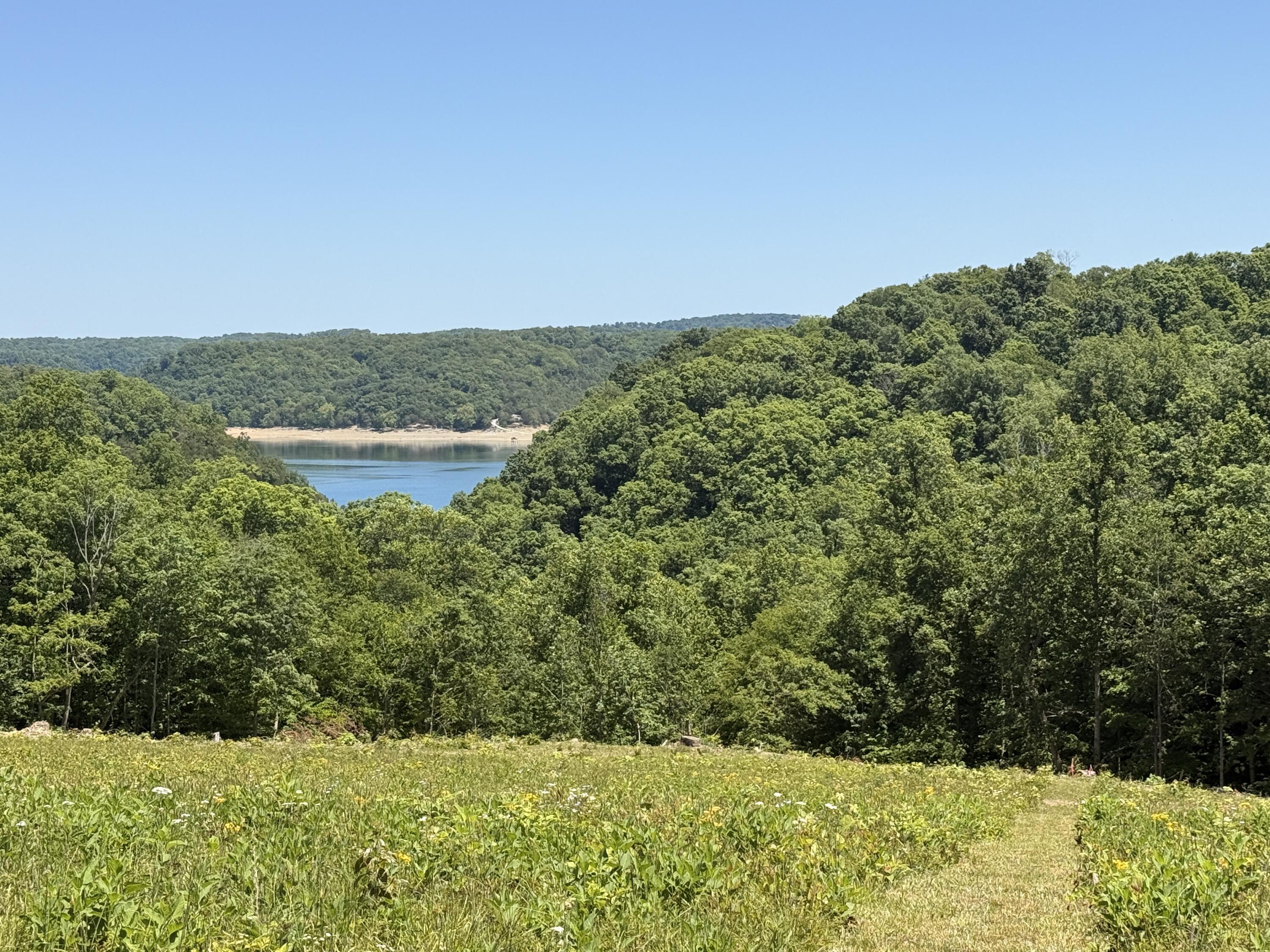 Tract 3 Hwy 196 Property Photo 3