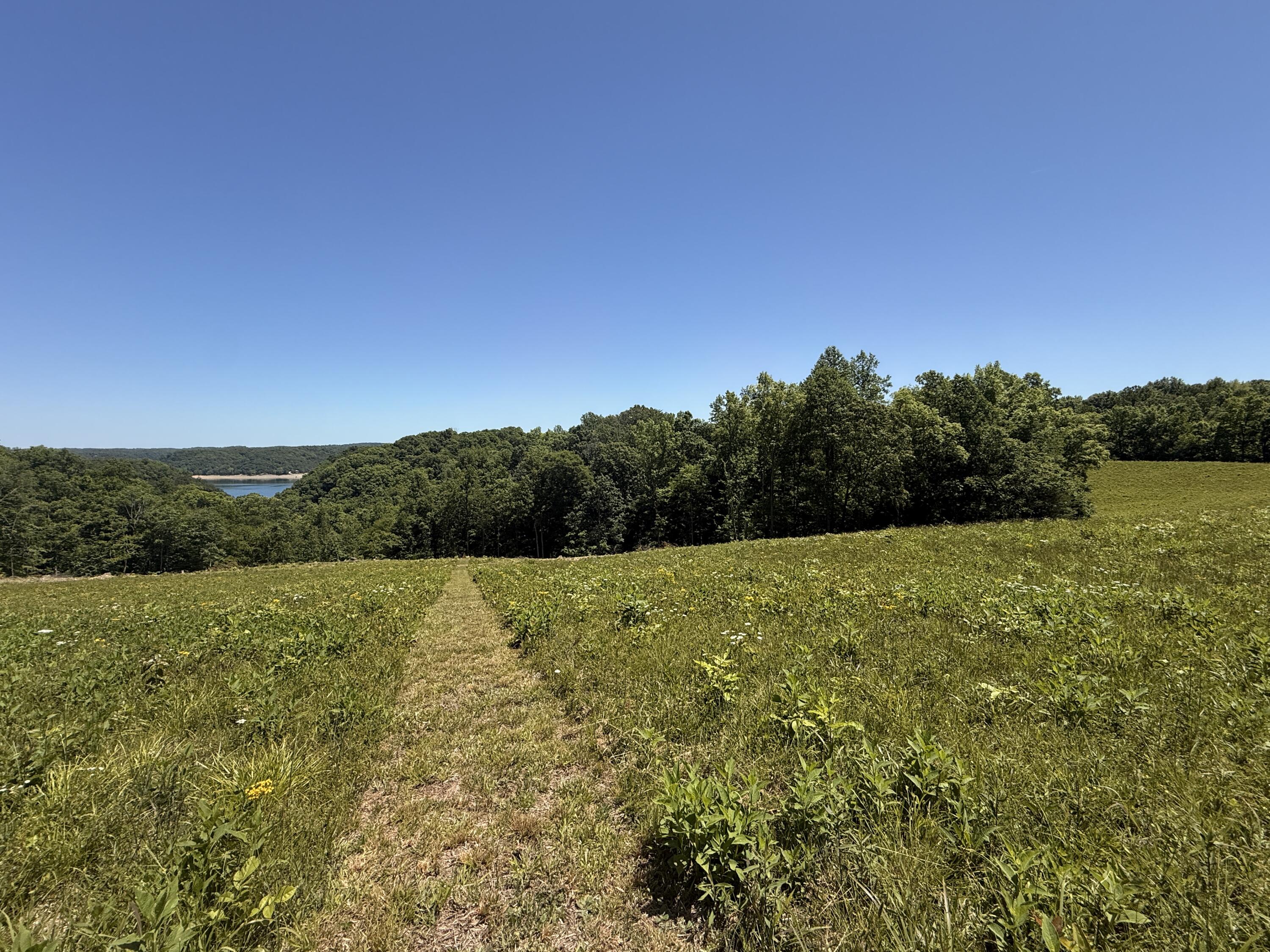 Tract 3 Hwy 196 Property Photo 5