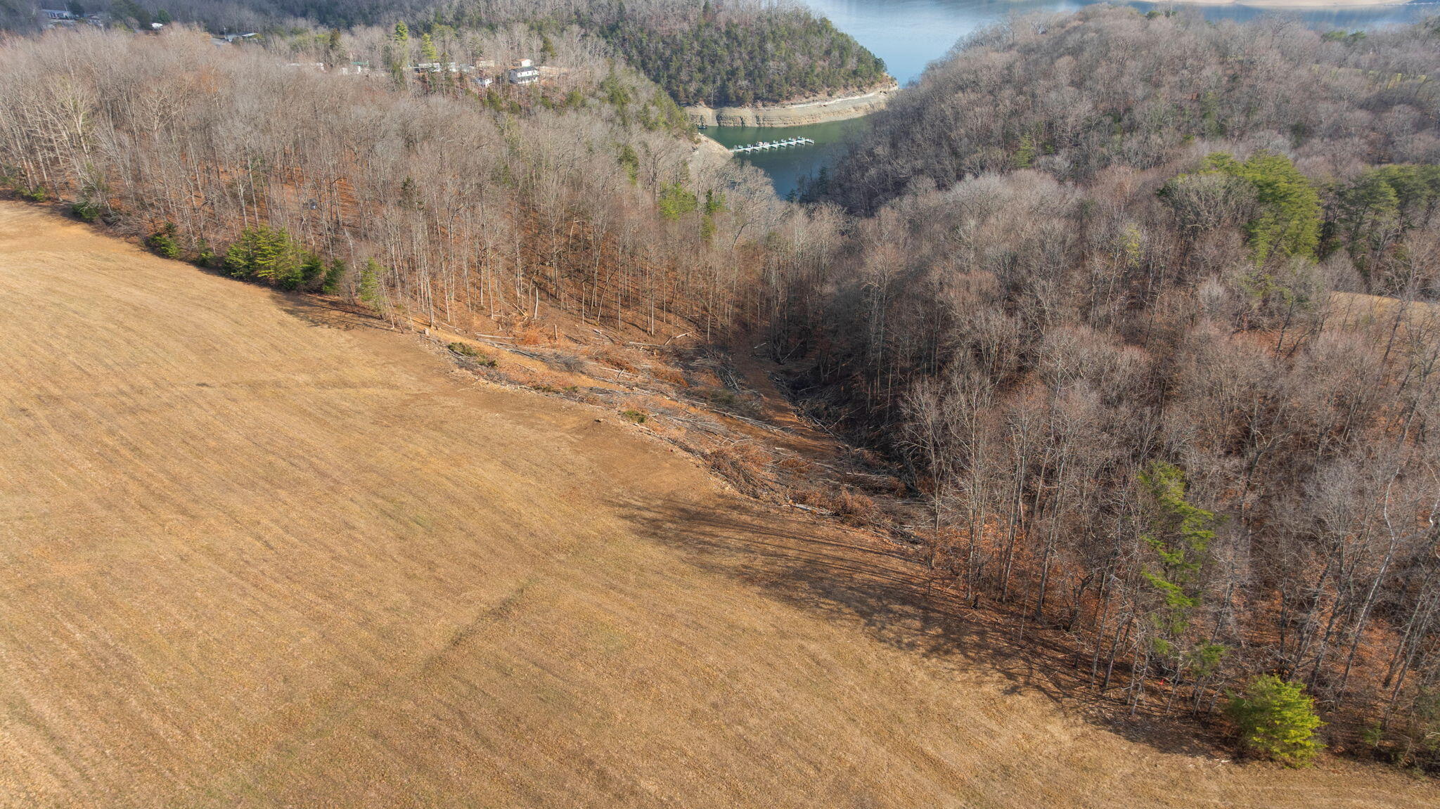 Tract 3 Hwy 196 Property Photo 22