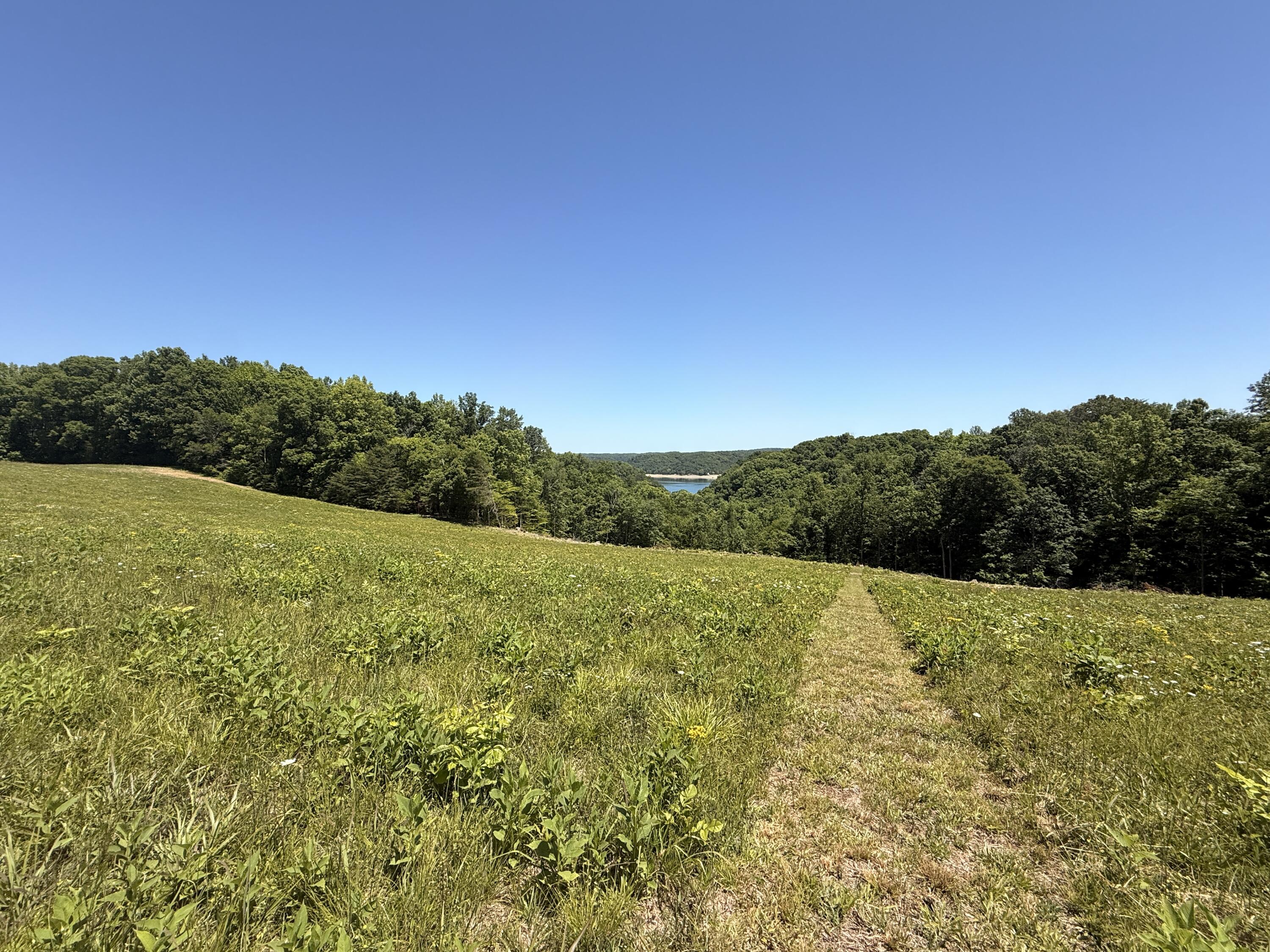 Tract 3 Hwy 196 Property Photo 42
