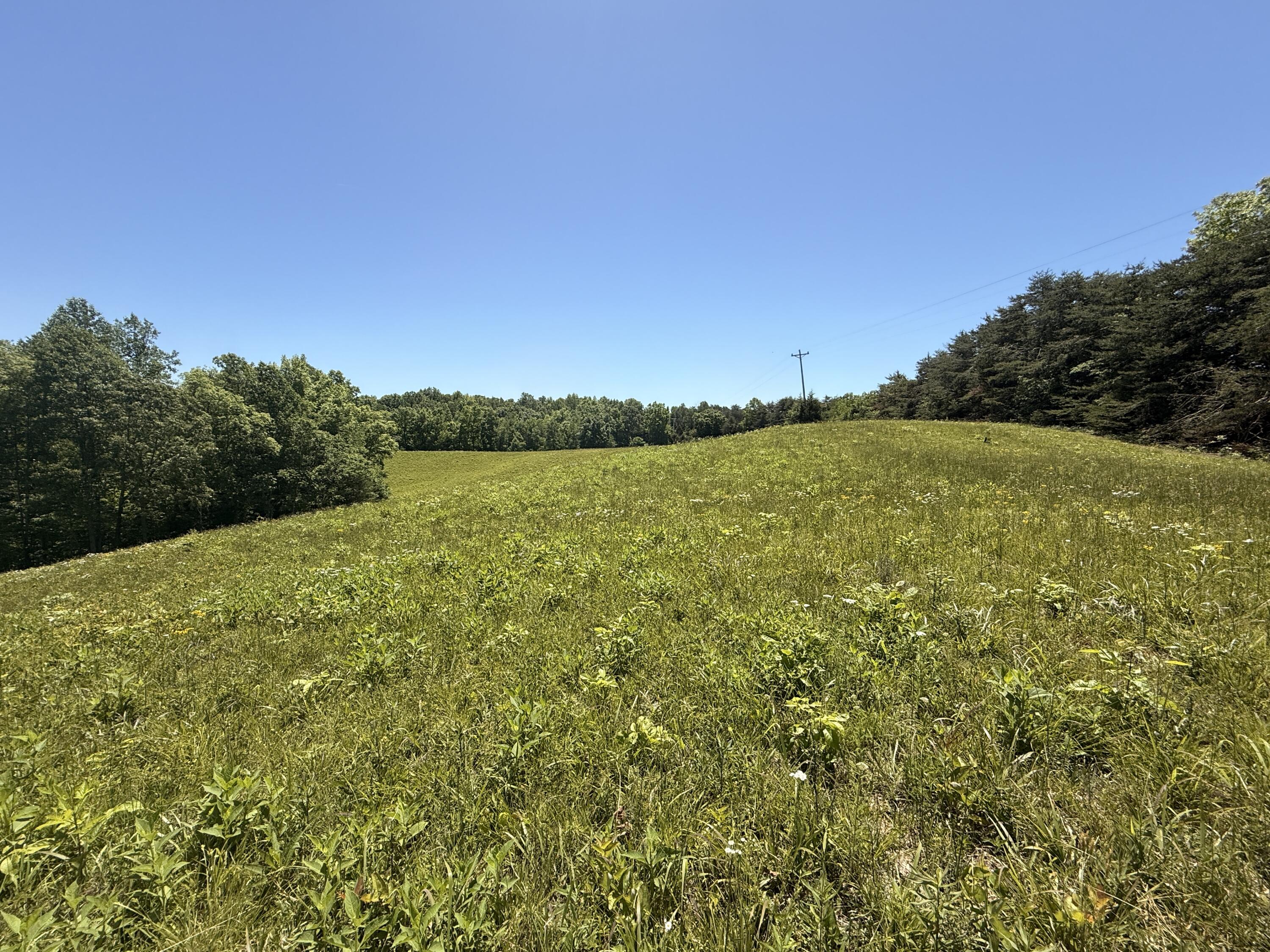 Tract 4 Hwy 196 Property Photo 5