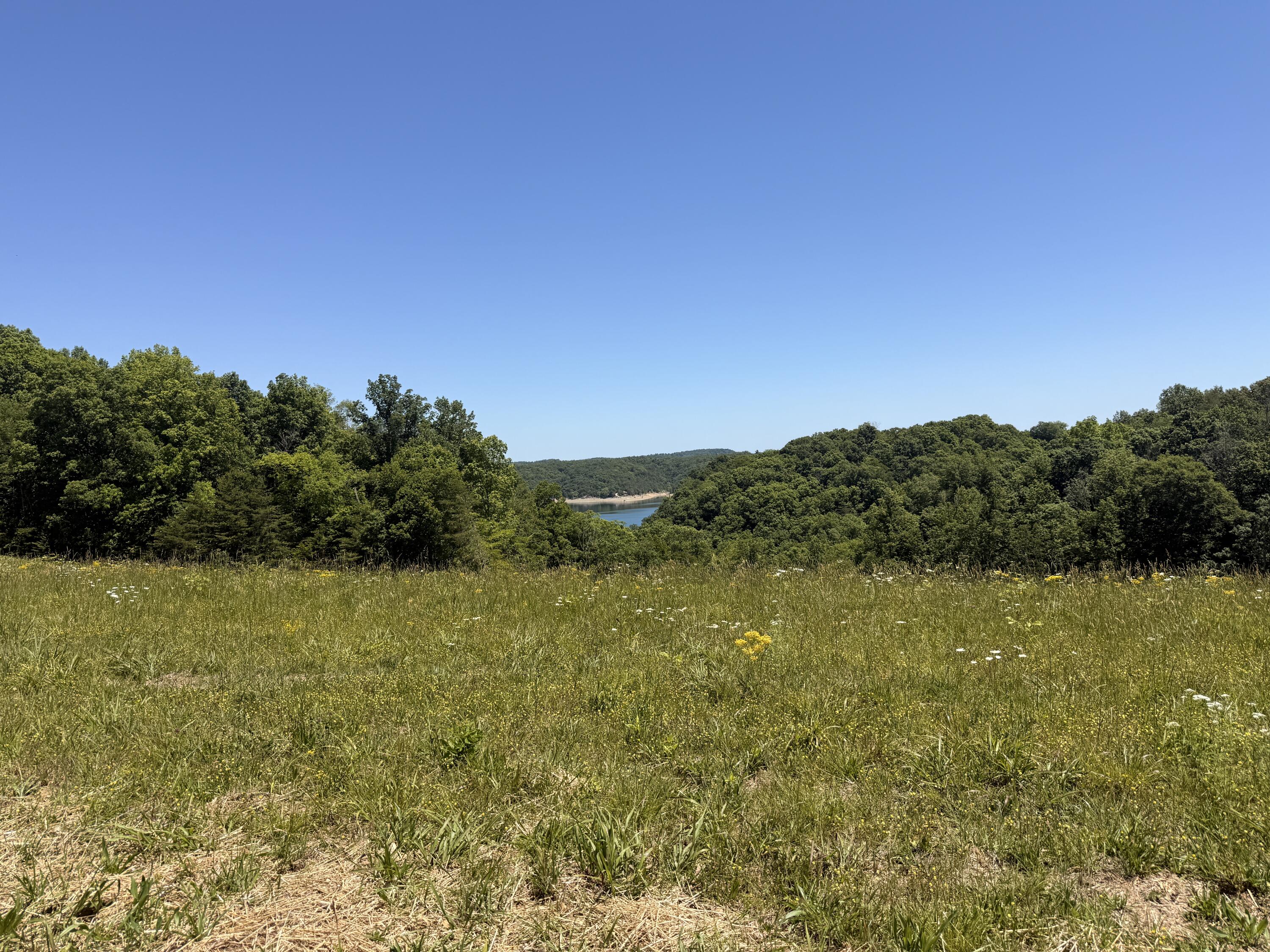 Tract 4 Hwy 196 Property Photo 32